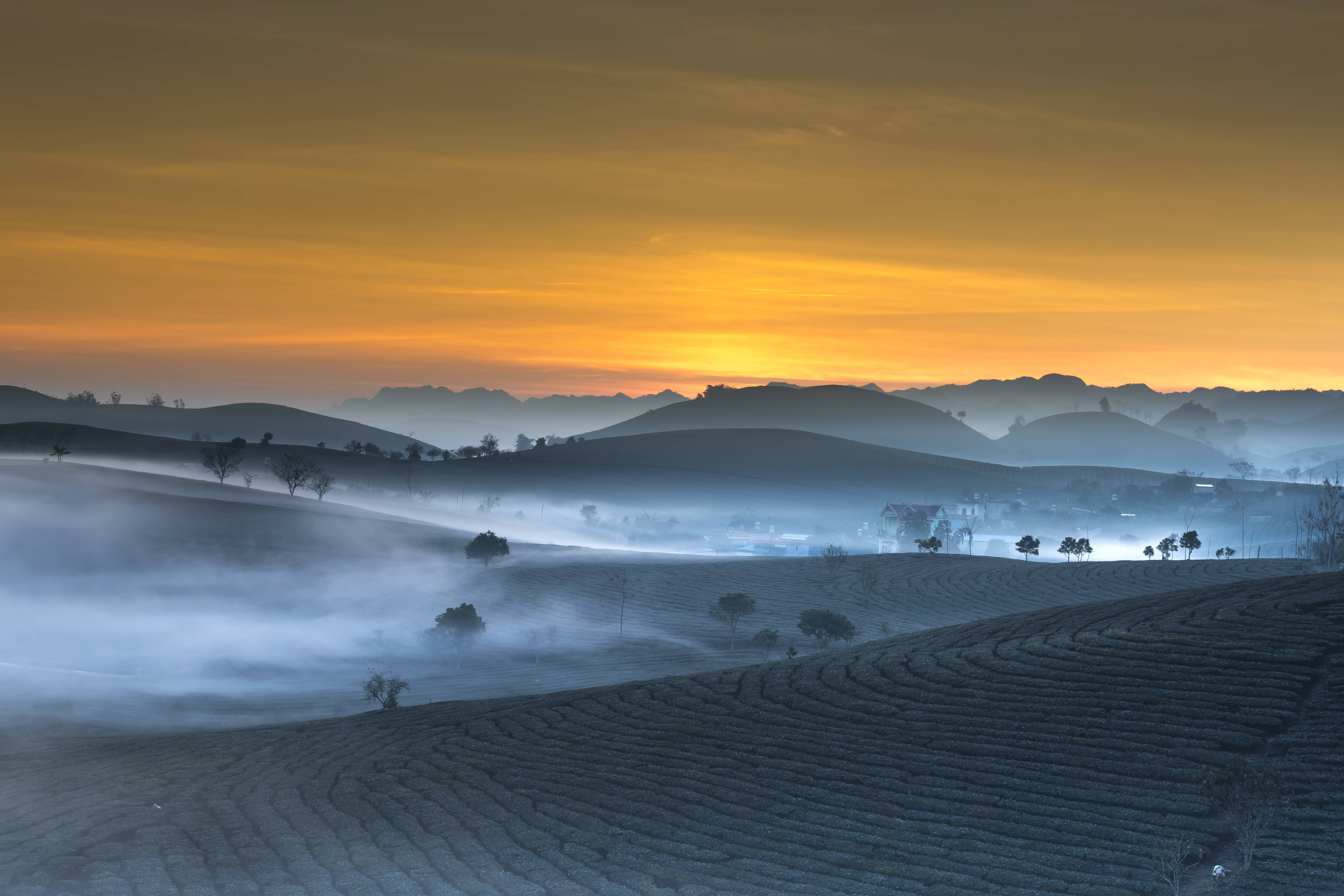 outdoors, haze, tranquility, environment, vietnam, cloud - sky, 5K, hazy, scenics - nature, fog, morning, tranquil scene, orange color, remote, tea, non-urban scene, HD Wallpaper