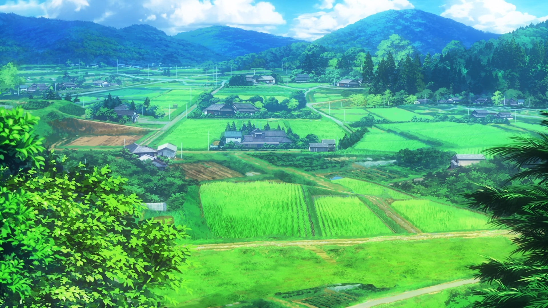 nature, 1080P, Non Non Biyori, field, HD Wallpaper