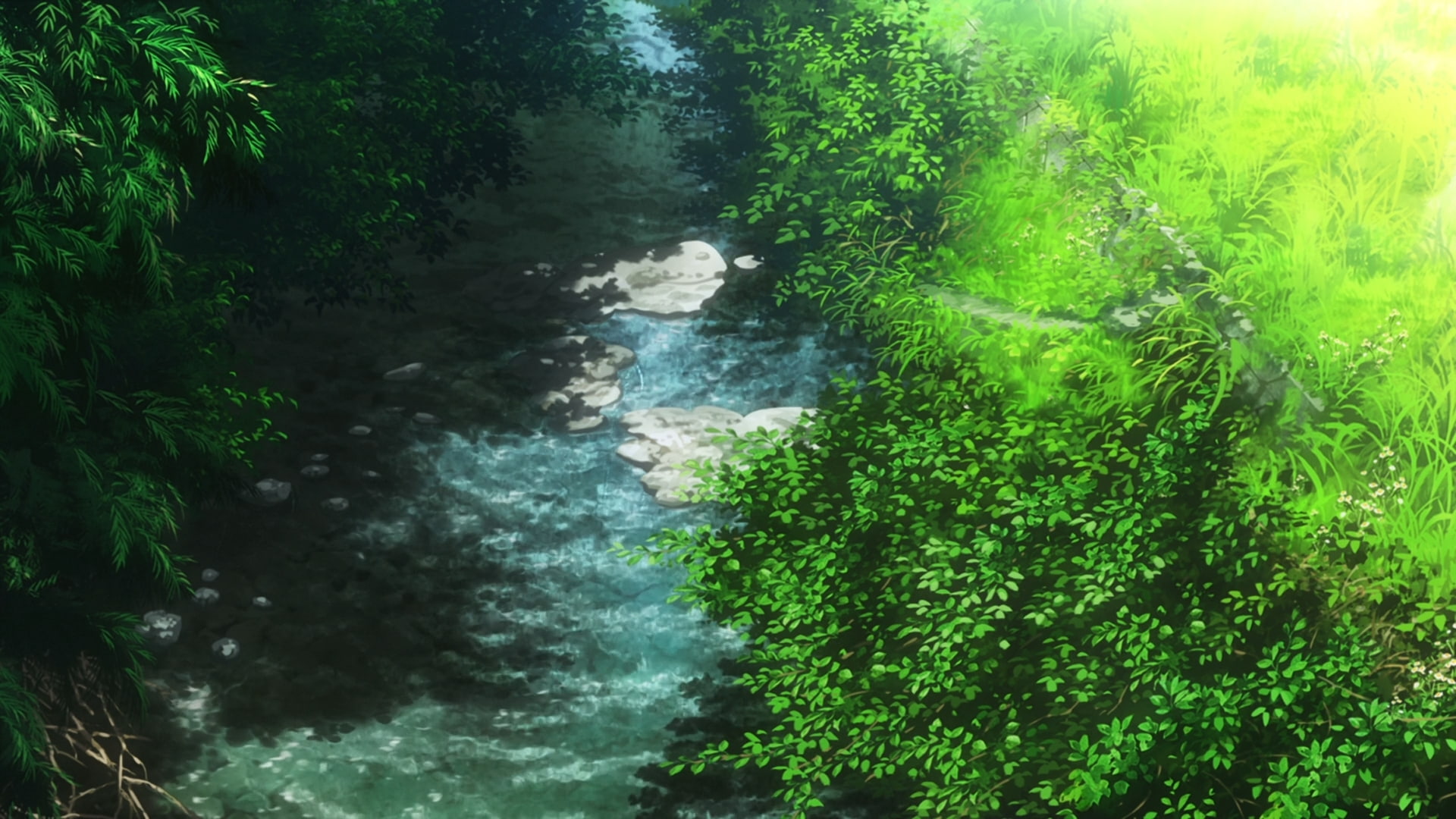 growth, tree, tranquility, non-urban scene, forest, rainforest, 1080P, tranquil scene, scenics - nature, river, green color, water, beauty in nature, land, HD Wallpaper