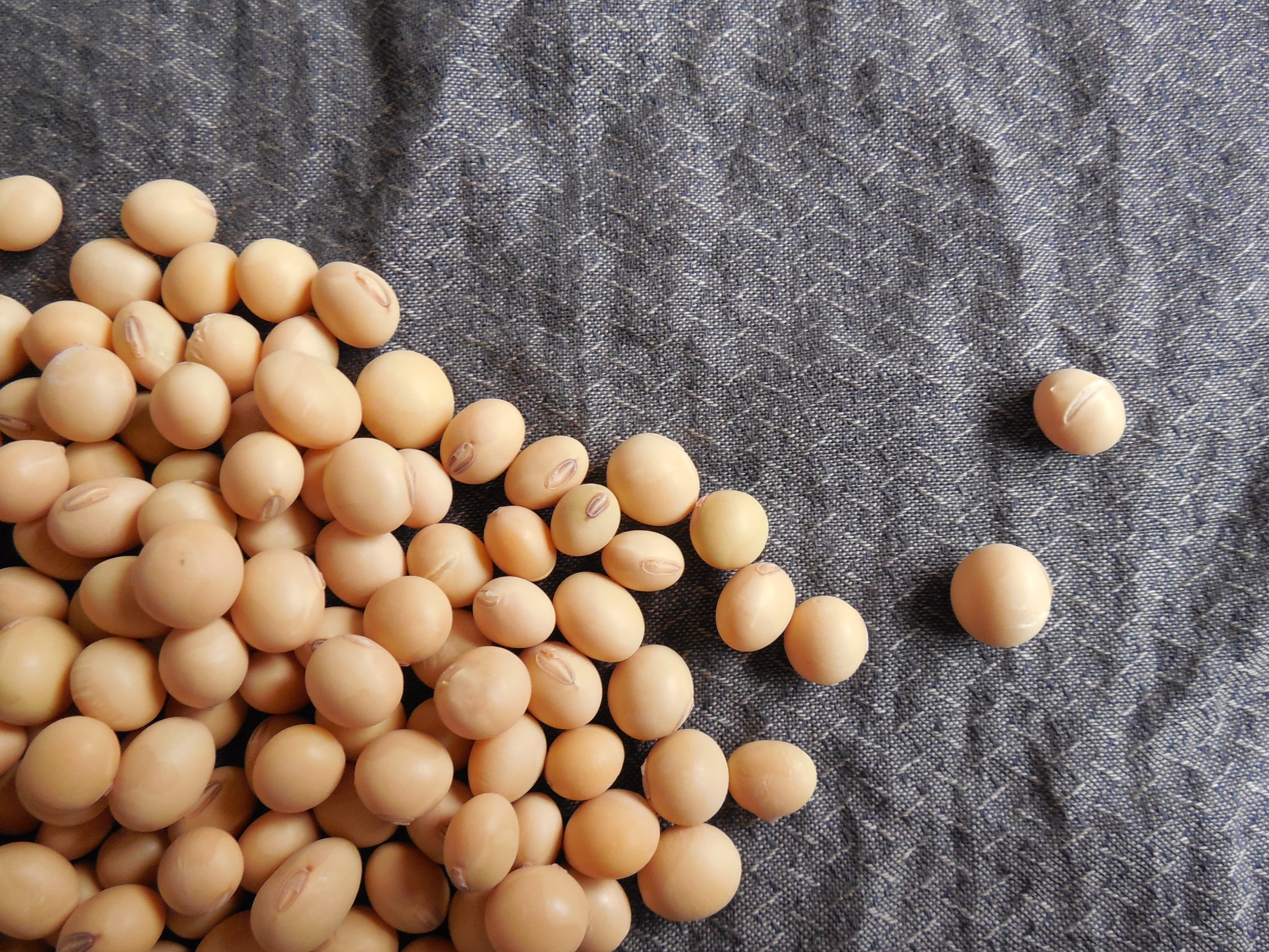 freshness, seeds, food and drink, food, directly above, closeup, day, healthy, soybeans, egg, brown, still life, healthy eating, large group of objects, HD Wallpaper