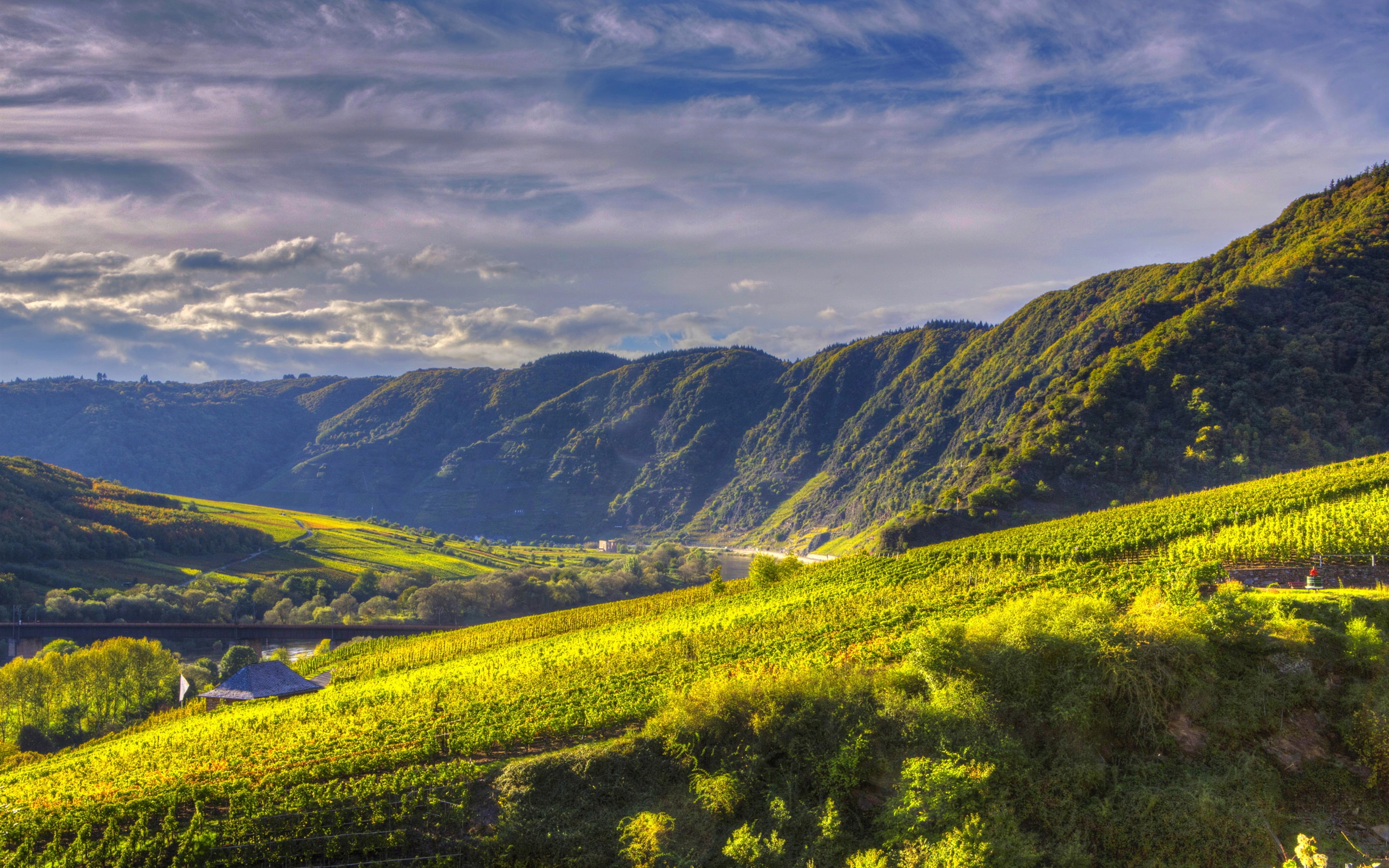 Mountains, Clouds, Germany, Ediger, green, River, Plantations, 2K, Grape, Fields, Eller, HD Wallpaper