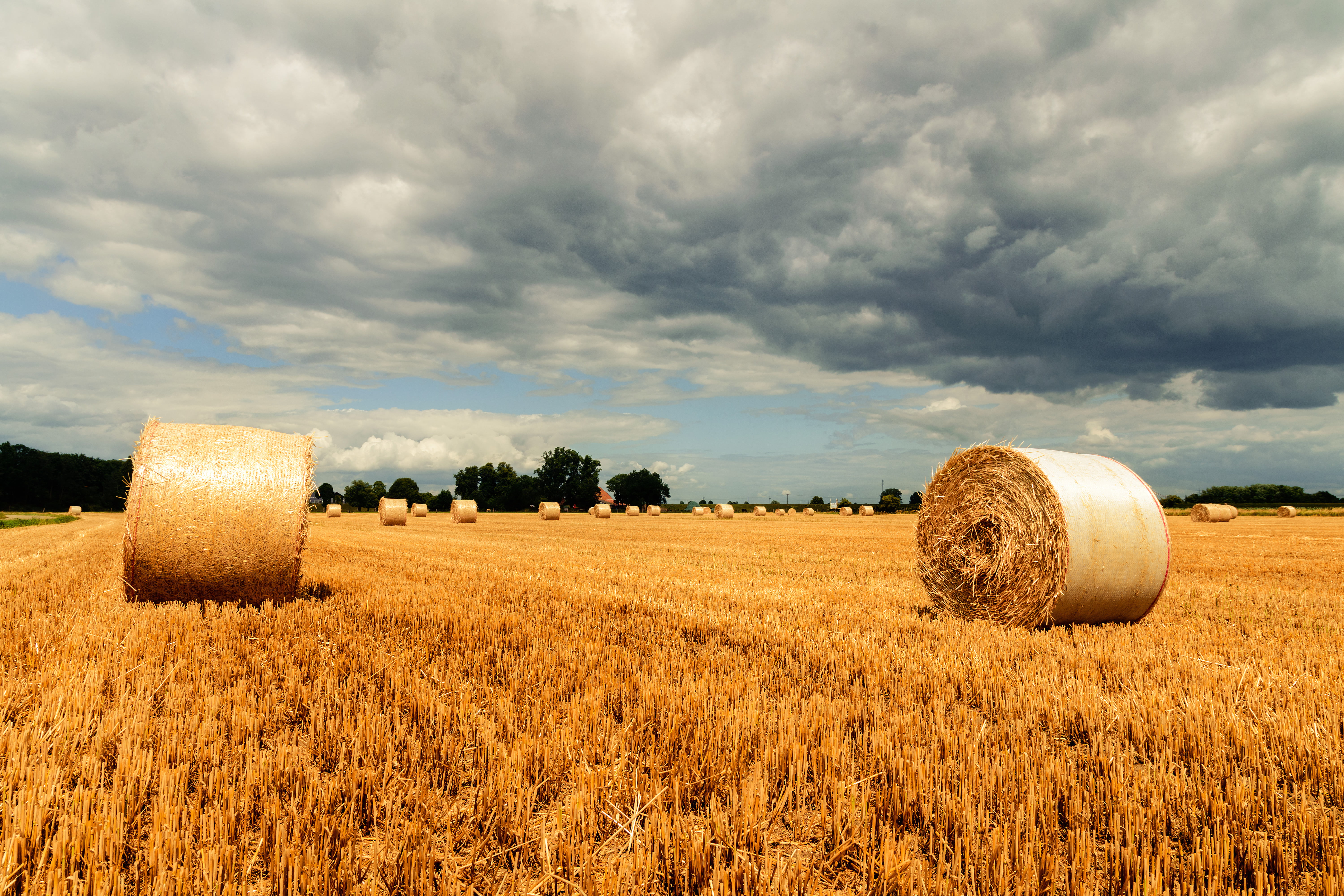hay, sky, yellow, Stroh, 5K, straw, outdoors, nature, Feld, work, Rhein, crop, growth, Kleve, field, landscaped, landscape, bale, brown, blue, grass, rural Scene, HD Wallpaper