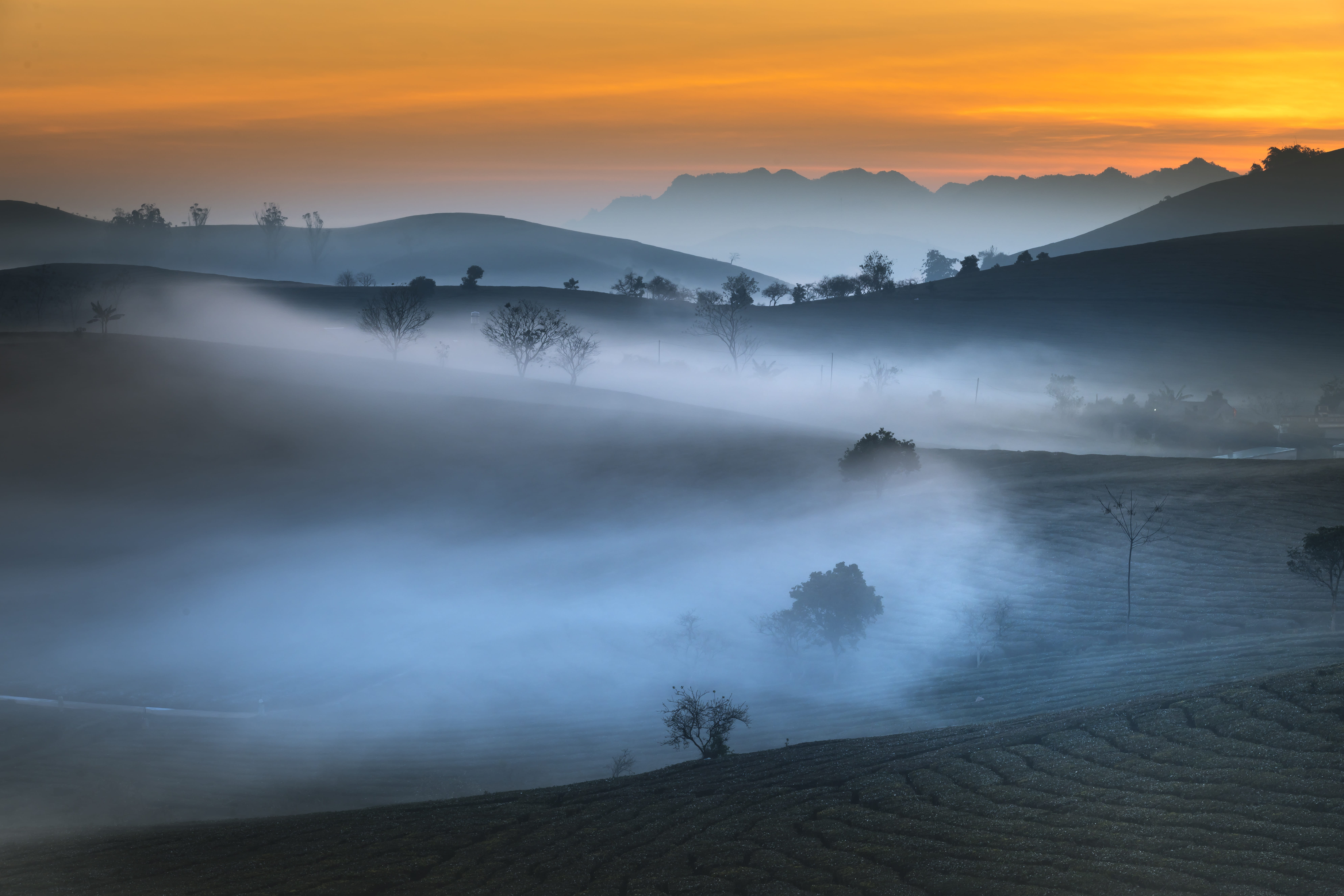 beauty in nature, plant, no people, nice, background, scenics - nature, organic, natural, moc chau, farm, asia, water, outdoors, sunset, the hill, green, HD Wallpaper