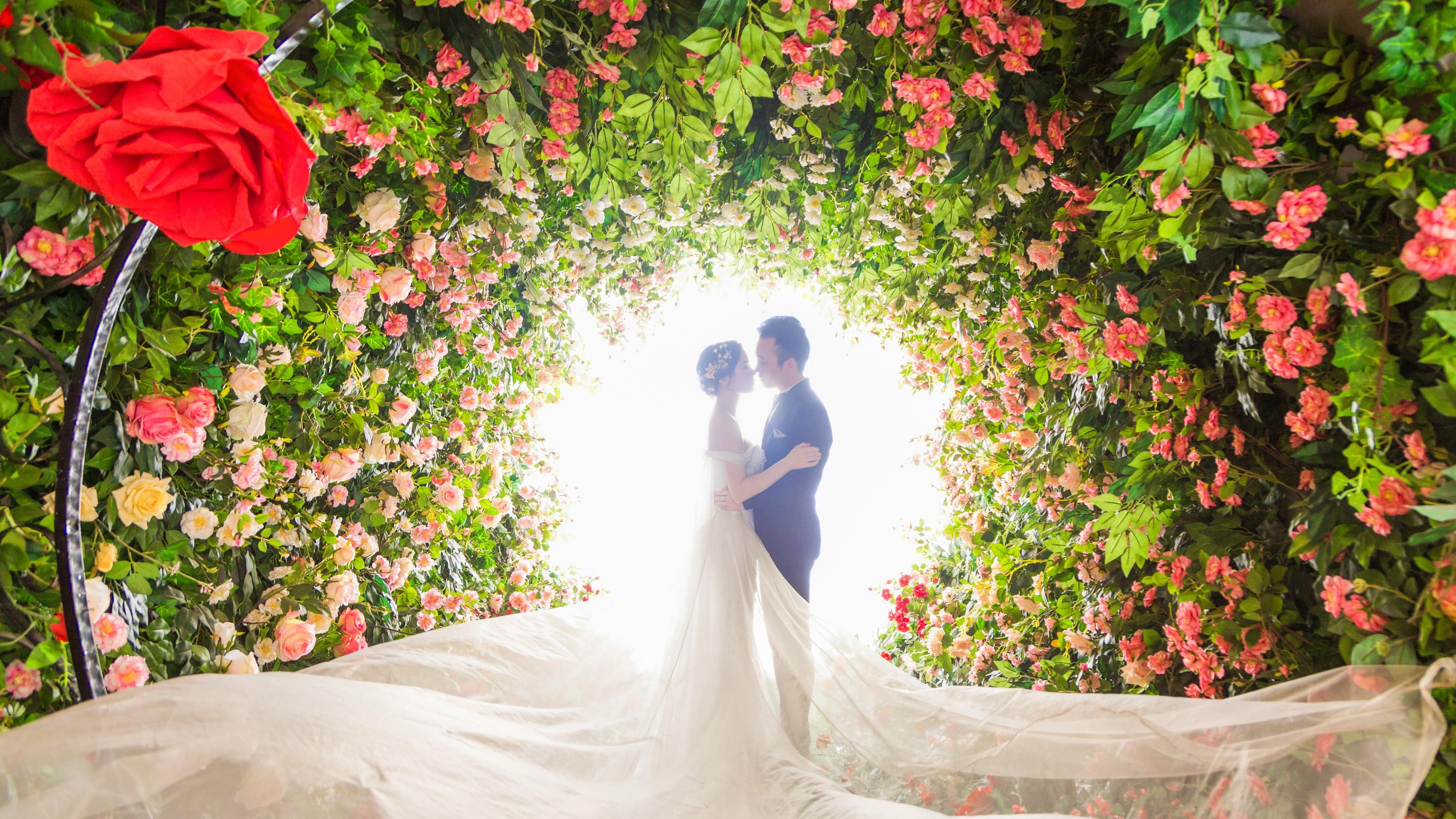wedding, ceremony, photograph, floral design, plantation, floristry, pink, petal, garden roses, flora, rose, rose order, bride, romance, love, wedding dress, HD Wallpaper