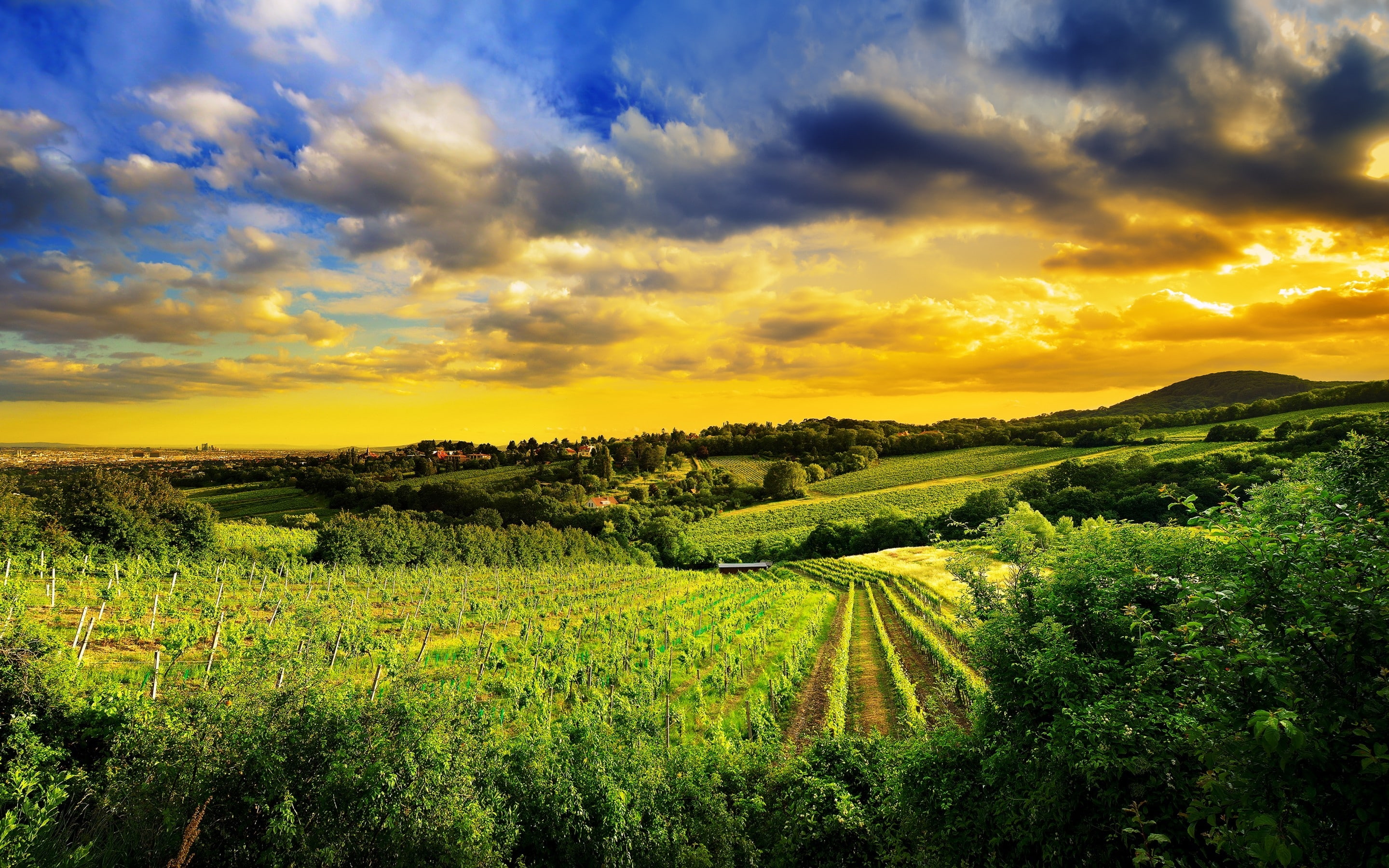 2K, landscape, hills, kahlenberg, austria, vienna, HD Wallpaper