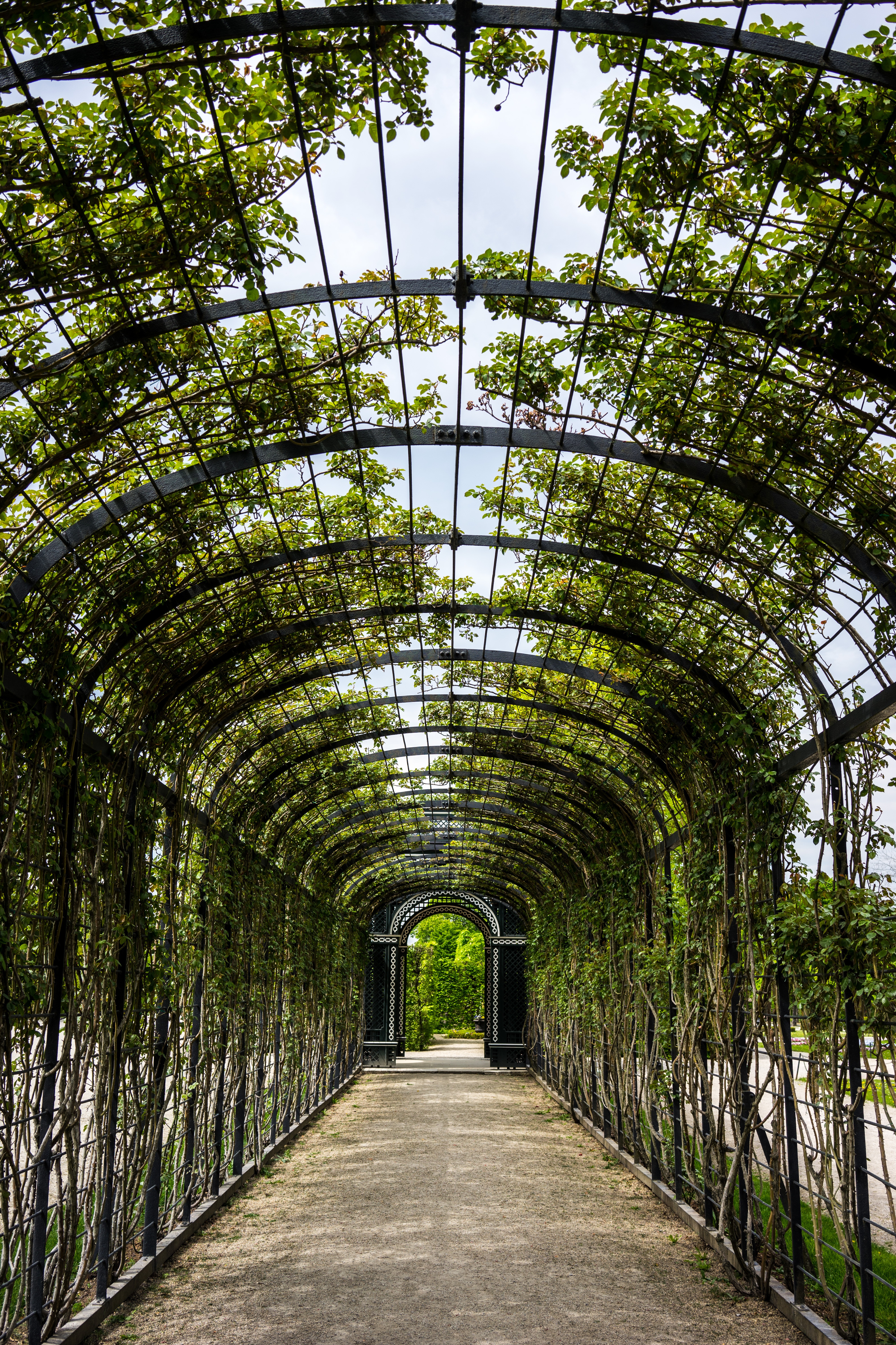 nature, spring, garden, no people, plant, growth, beauty in nature, trees, austria, empty, vanishing point, leafed, built structure, emotion, the way forward, Phone HD Wallpaper