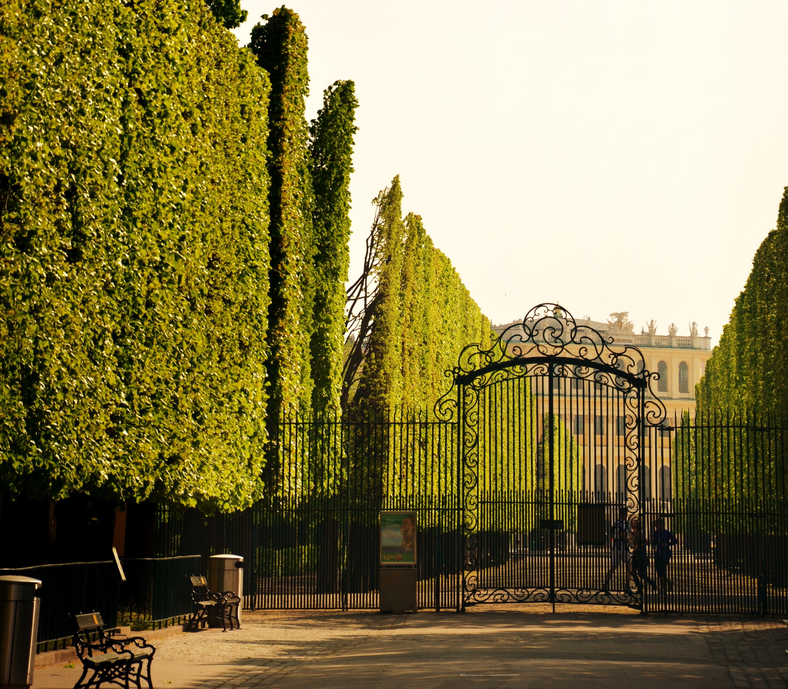 green, europe, tree, vienna, seat, avenue, input, schönbrunn, iron gate, day, england, goal, nature, sky, park - Man Made Space, black metal, clear sky, HD Wallpaper