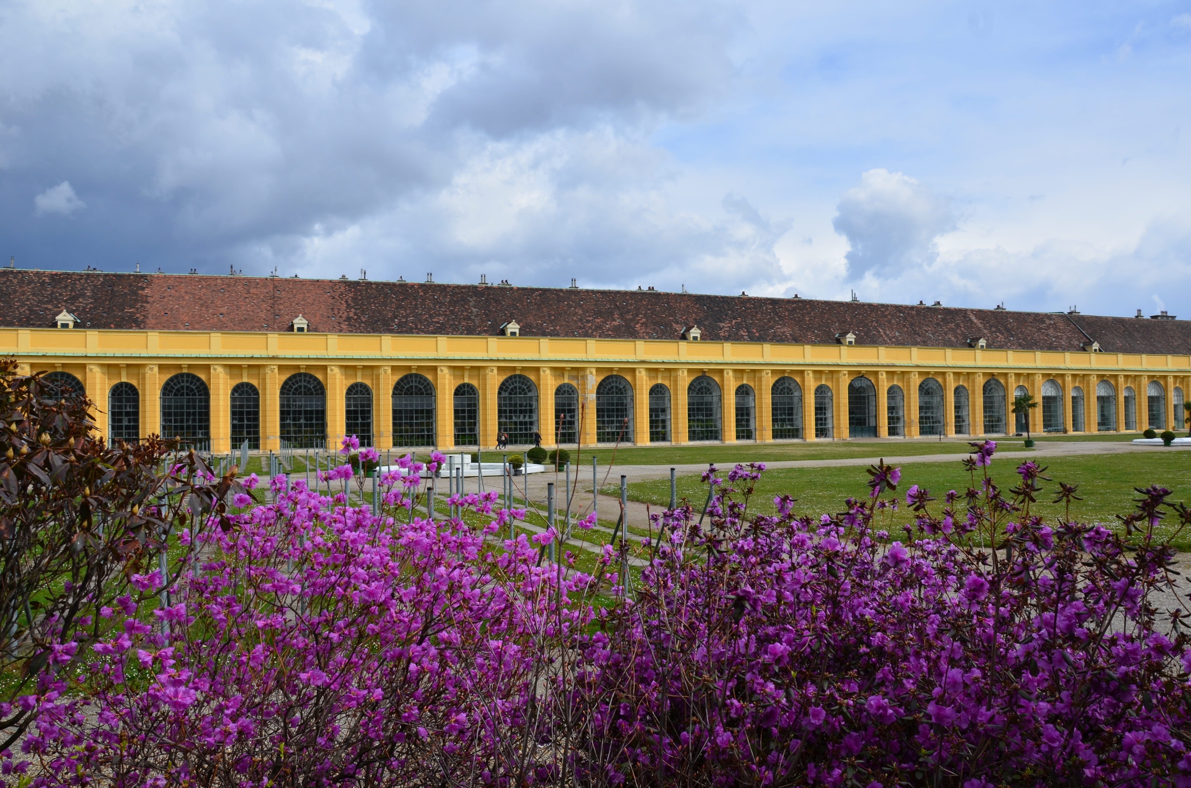 flowering plant, flower, history, austria, arch, schönbrunn, vienna, cloud - sky, nature, freshness, architecture, built structure, vulnerability, no people, HD Wallpaper