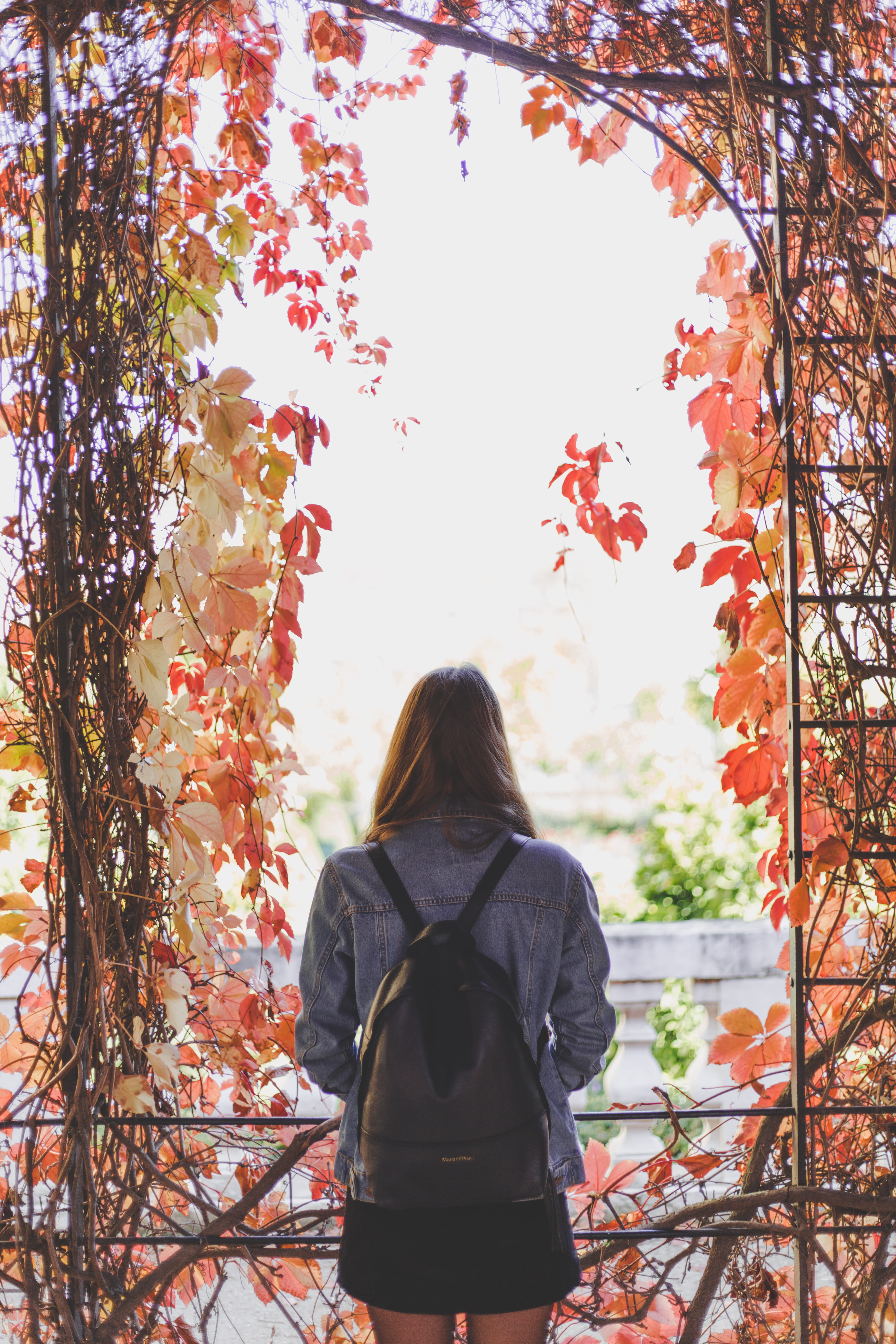 schönbrunn palace, real people, love, city, life, autumn, adult, girl, outdoors, hairstyle, casual clothing, nature, one person, austria, beauty in nature, Phone HD Wallpaper