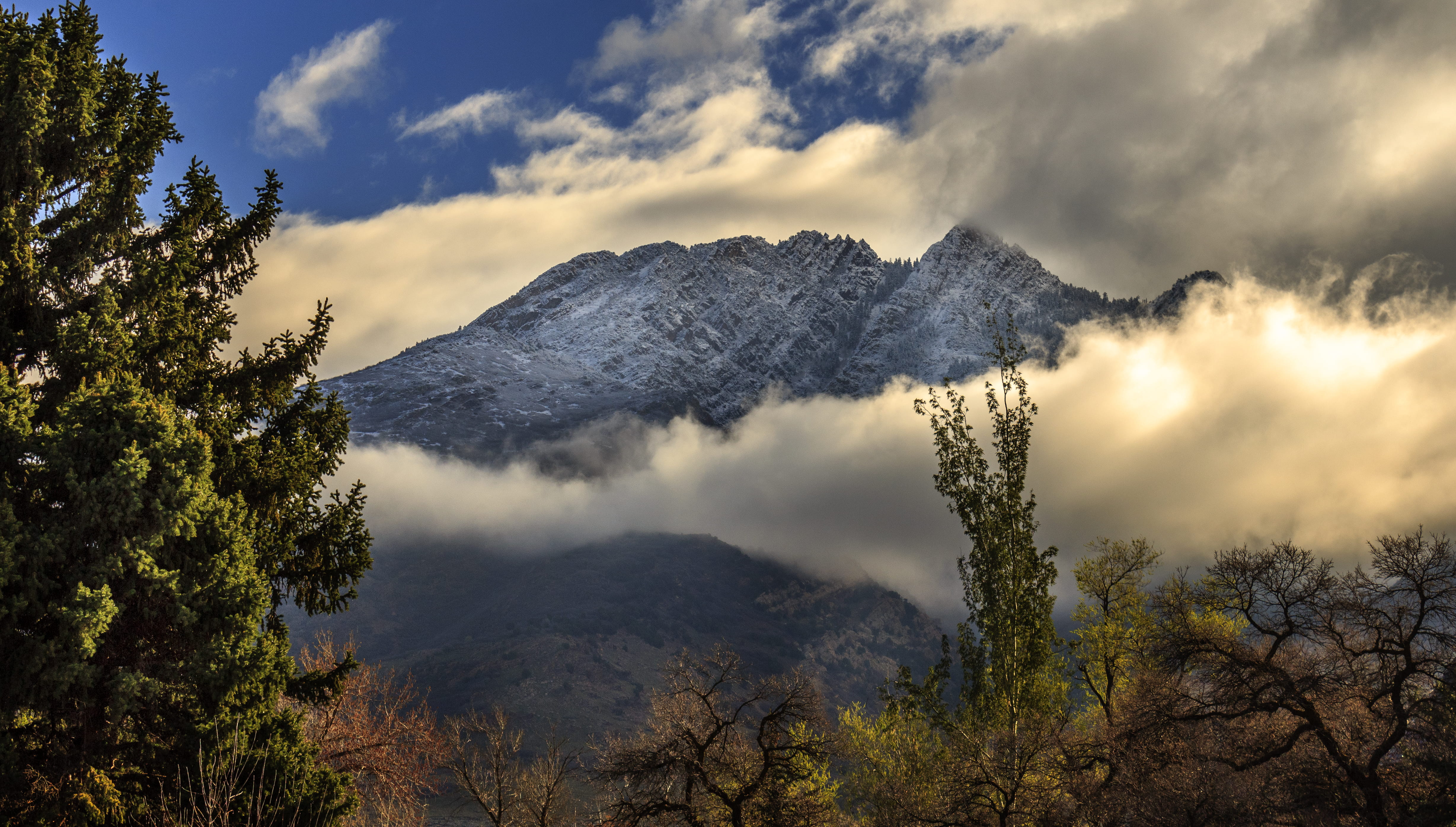no people, remote, forest, mountain range, woods, non-urban scene, mountain, high, clouds, mountain peak, trees, tranquility, daylight, tranquil scene, HD Wallpaper
