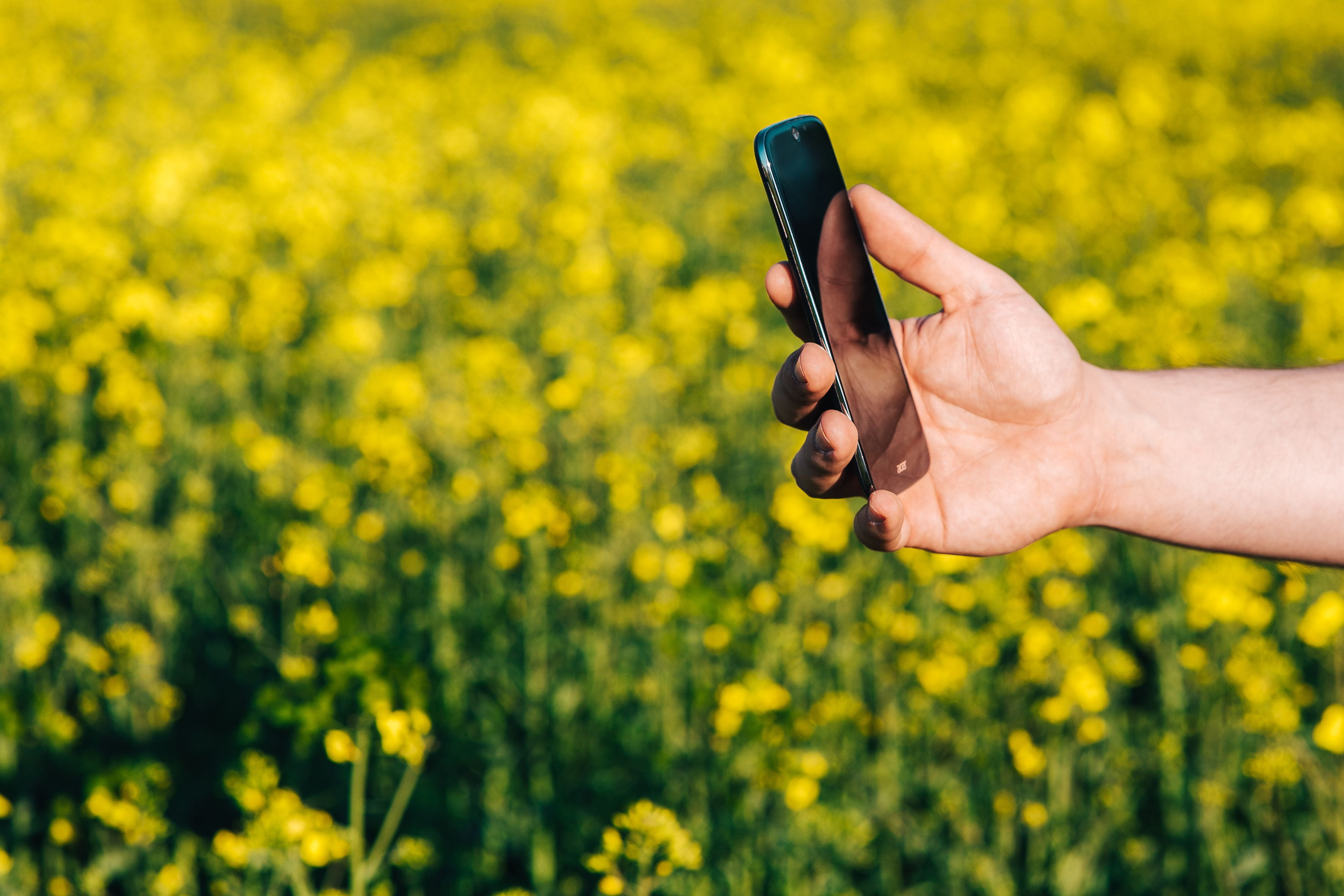 hand, mobile Phone, 4K, wireless technology, people, finger, plant, computer, flowering plant, flowers, Laptop computer, photography themes, rural Scene, HD Wallpaper