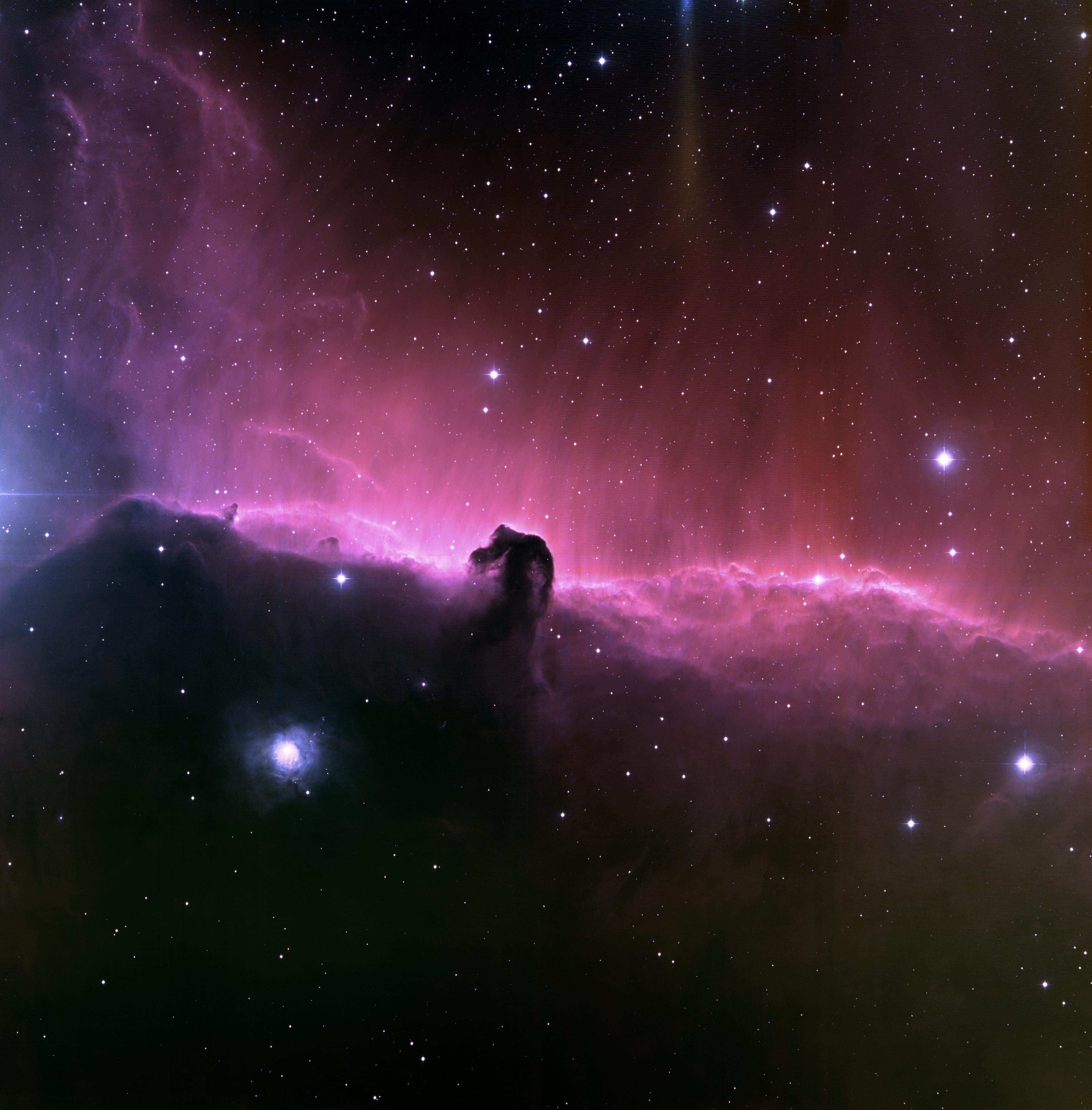 sky, 4K, nature, dark, purple, star - space, beauty in nature, galaxy, Horsehead Nebula, luminosity, astronomy, illuminated, star, scenics - nature, nebula, Phone HD Wallpaper