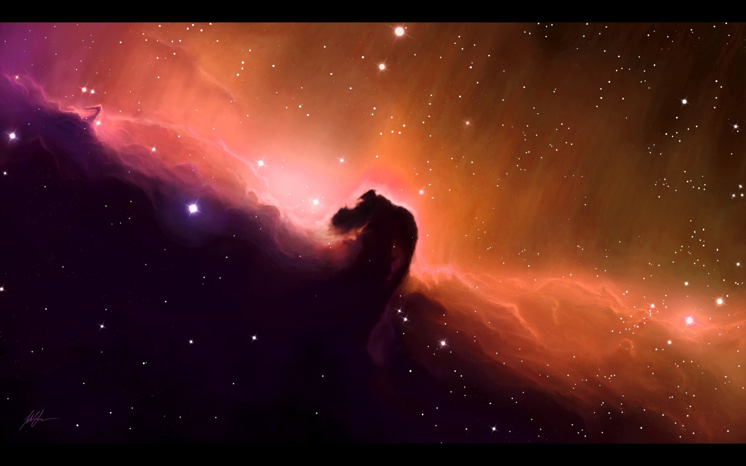 nebula, skyscapes, hd, animals, x, space, gas, outer, cloud, outer space, horses, art, 2K, horsehead, stars, shining, HD Wallpaper