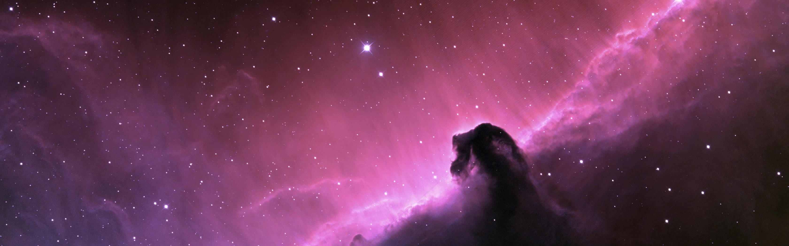 Horsehead Nebula, hd, 2K, horsehead, aircraft, space, art, outer space, nebula, outer, HD Wallpaper