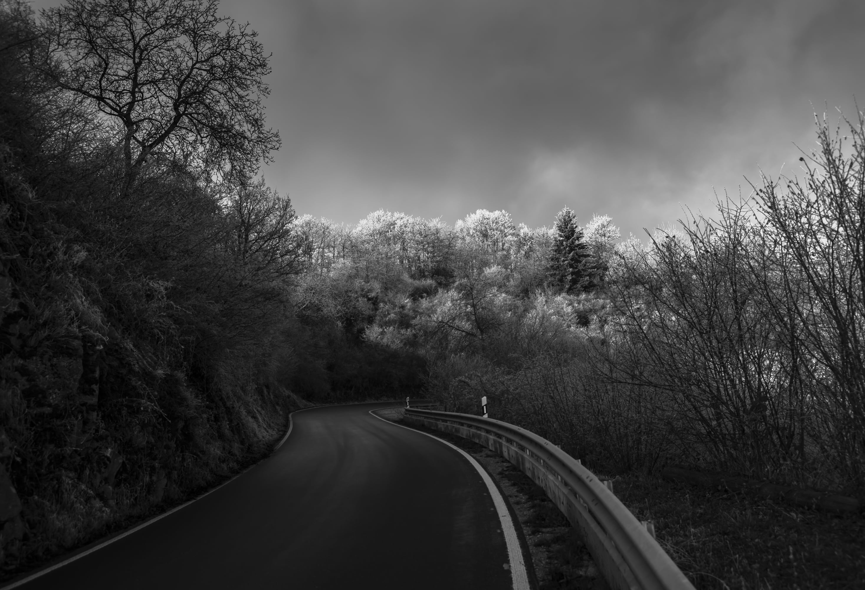 highway, 2K, black And White, grayscale, nature, transportation, sky, outdoors, concrete, cloudy, road, trees, landscape, photography, HD Wallpaper