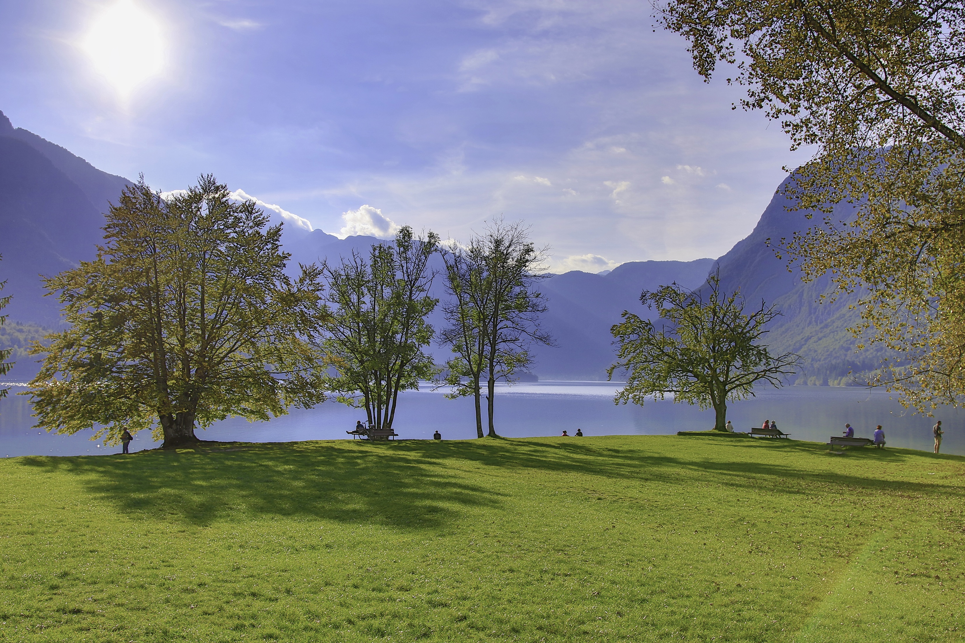 mountain, day, bohinj, growth, beauty in nature, tranquil scene, sunlight, tree, tranquility, no people, scenics - nature, beautiful nature, lake, sky, HD Wallpaper