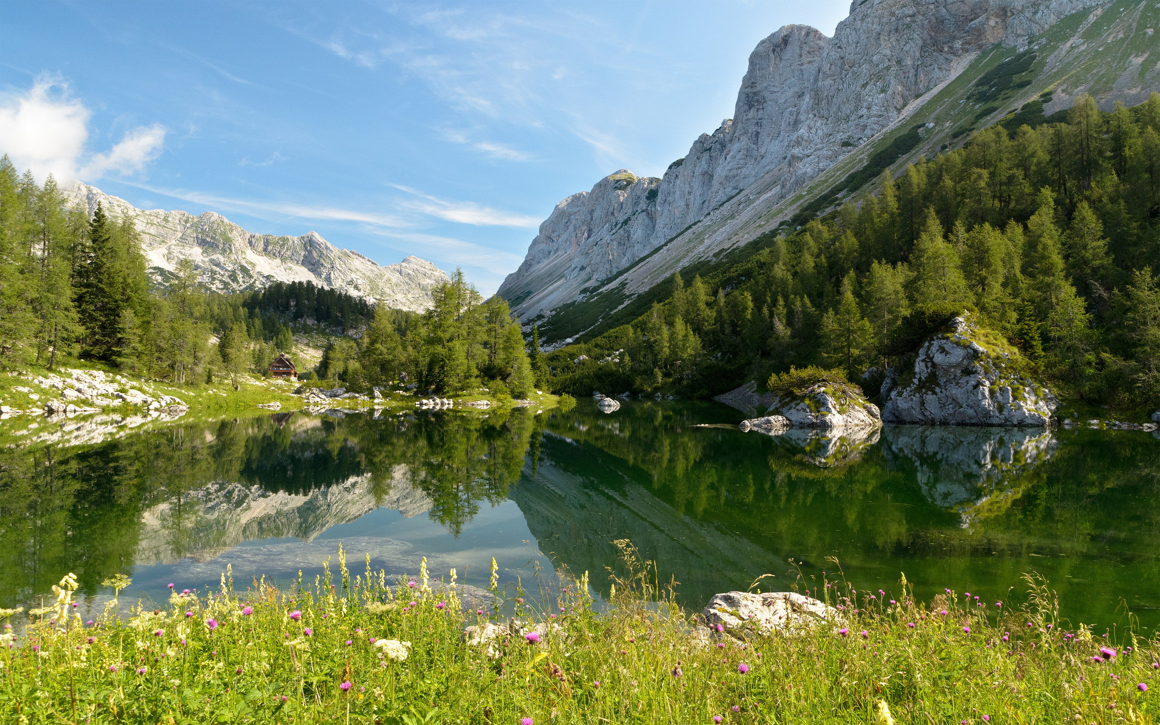 4K, Triglav National Park, The Republic Of Slovenia, Slovenia, Lake Bohinj, Bohinj, HD Wallpaper