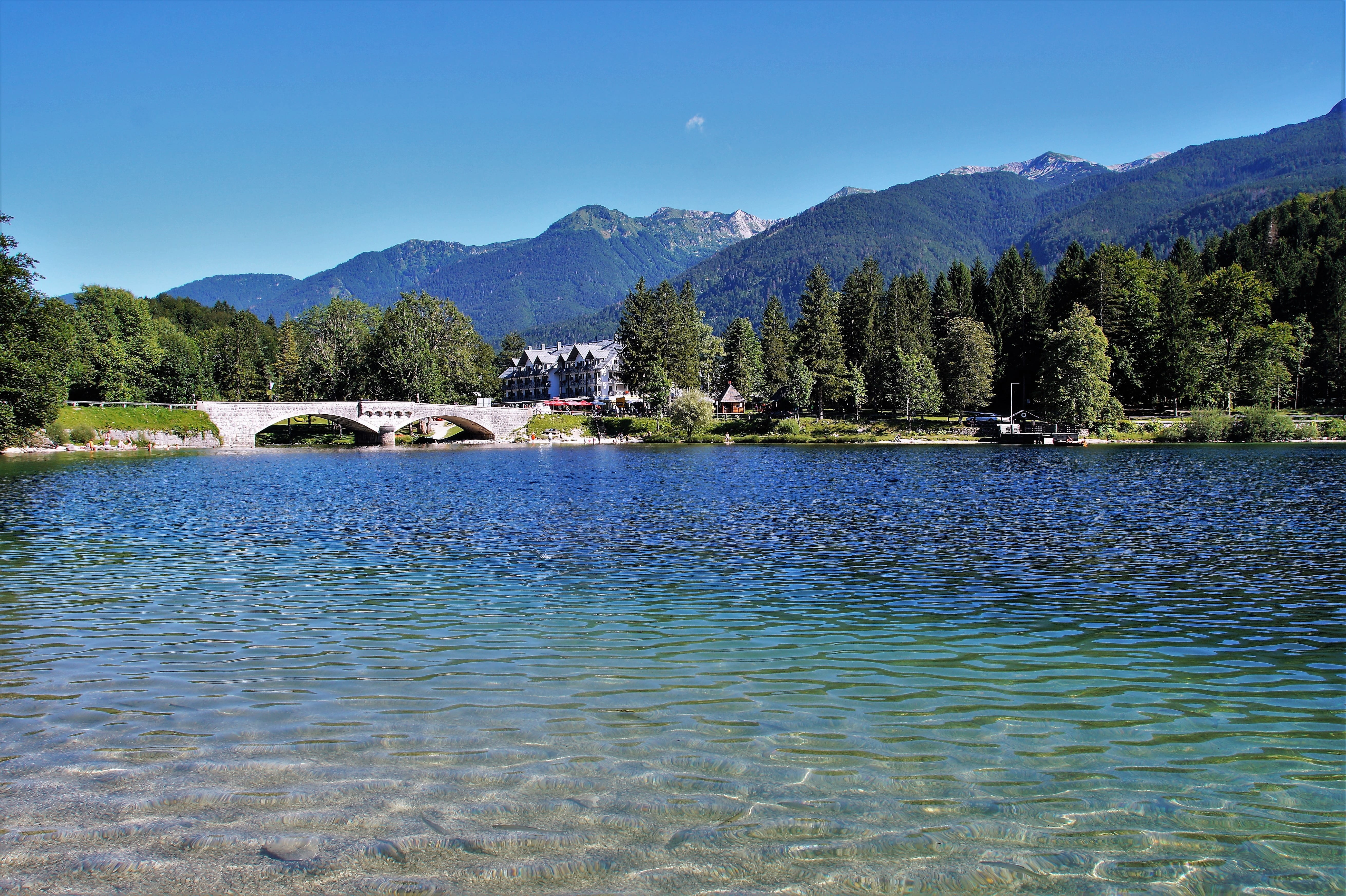 pine tree, architecture, coniferous tree, scenics - nature, land, slovenia, tree, mountain range, 5K, julian alps, outdoors, forest, no people, lake, blue, HD Wallpaper