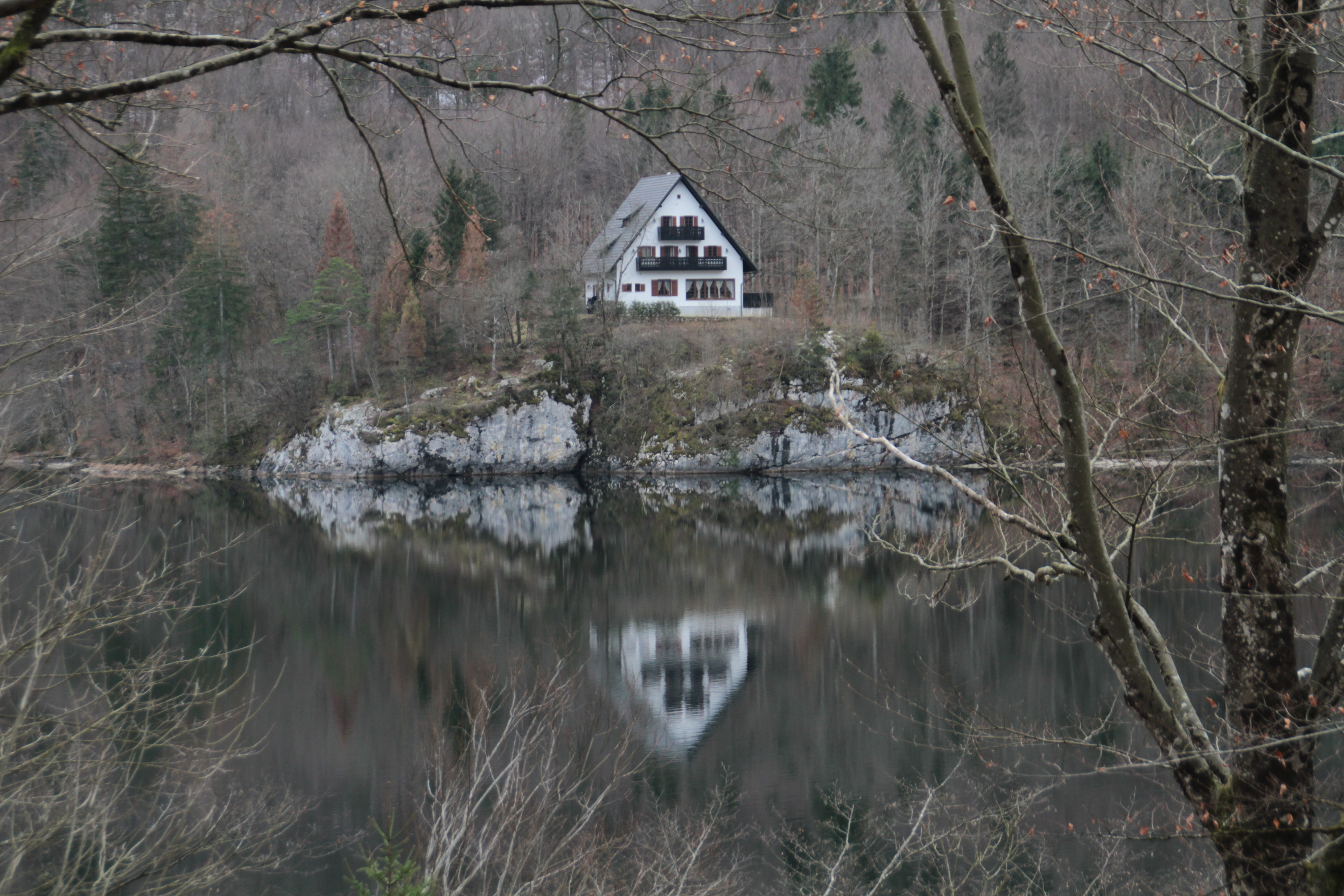 architecture, tranquil scene, bohinj, tree, beauty in nature, plant, water, outdoors, nature, waterfront, reflection, 5K, tranquility, growth, day, slovenia, HD Wallpaper