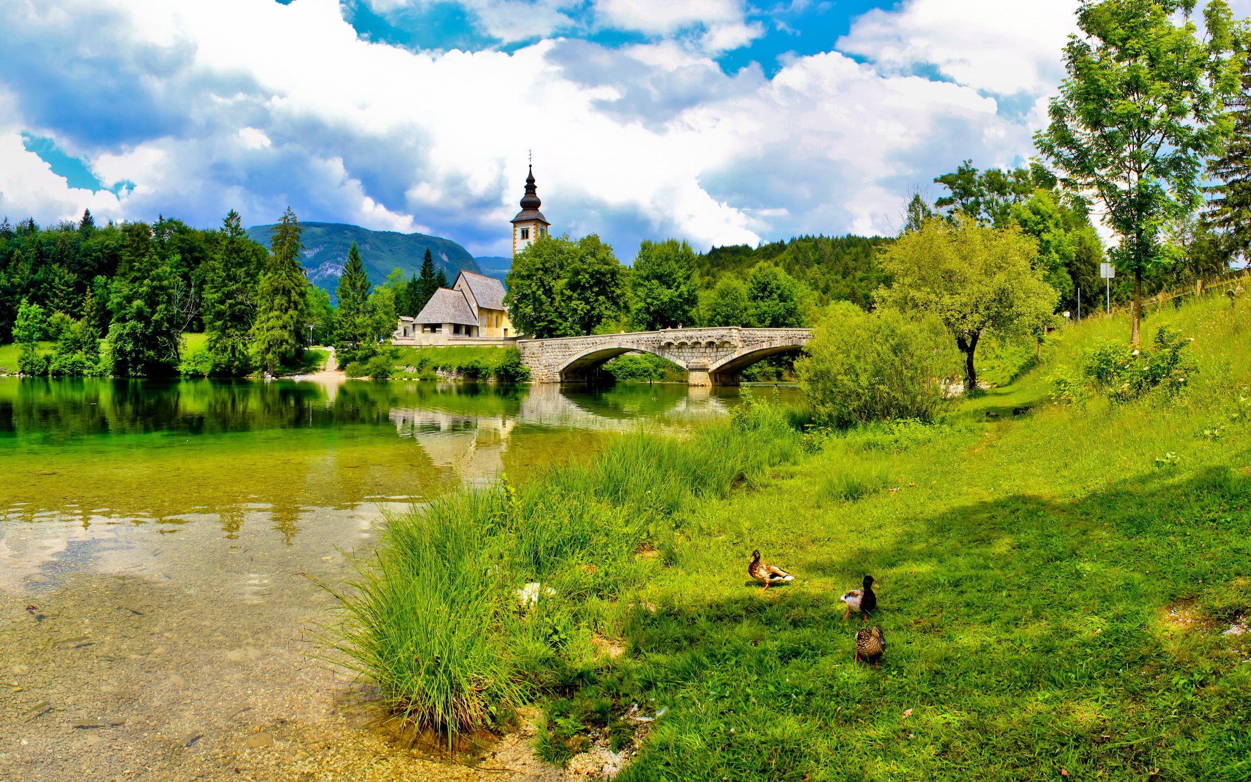 karniola, paul, 2K, hd, municipality, gornja, church, landscape, village, bohinj, saint, settlement, old, slovenia, ina, medieval, fu, HD Wallpaper