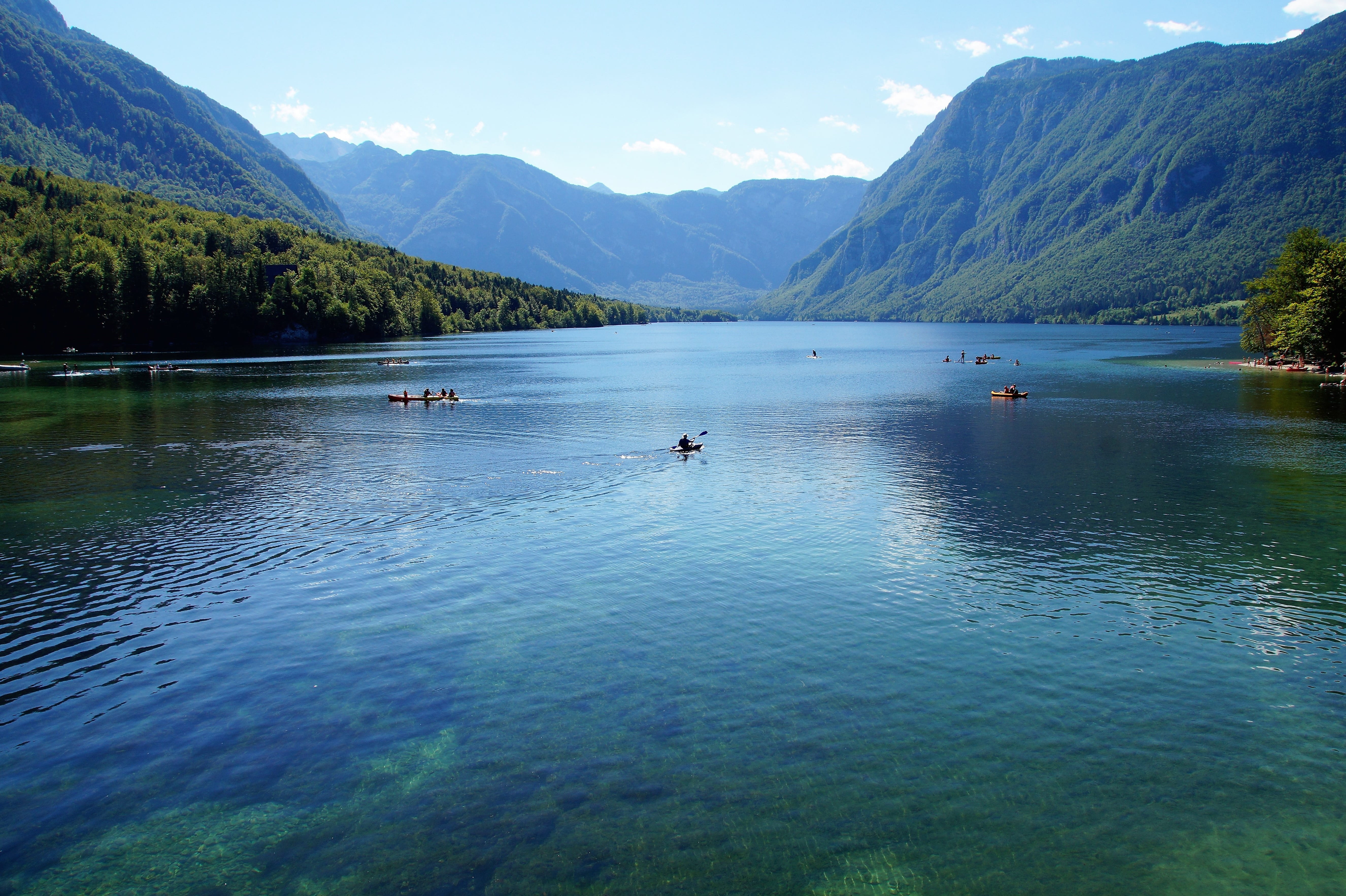 bohinj, waterfront, plant, slovenia, water sports, mountain range, idyllic, nature, mountain, bathing, animal, tranquility, summer, lake, beauty in nature, HD Wallpaper