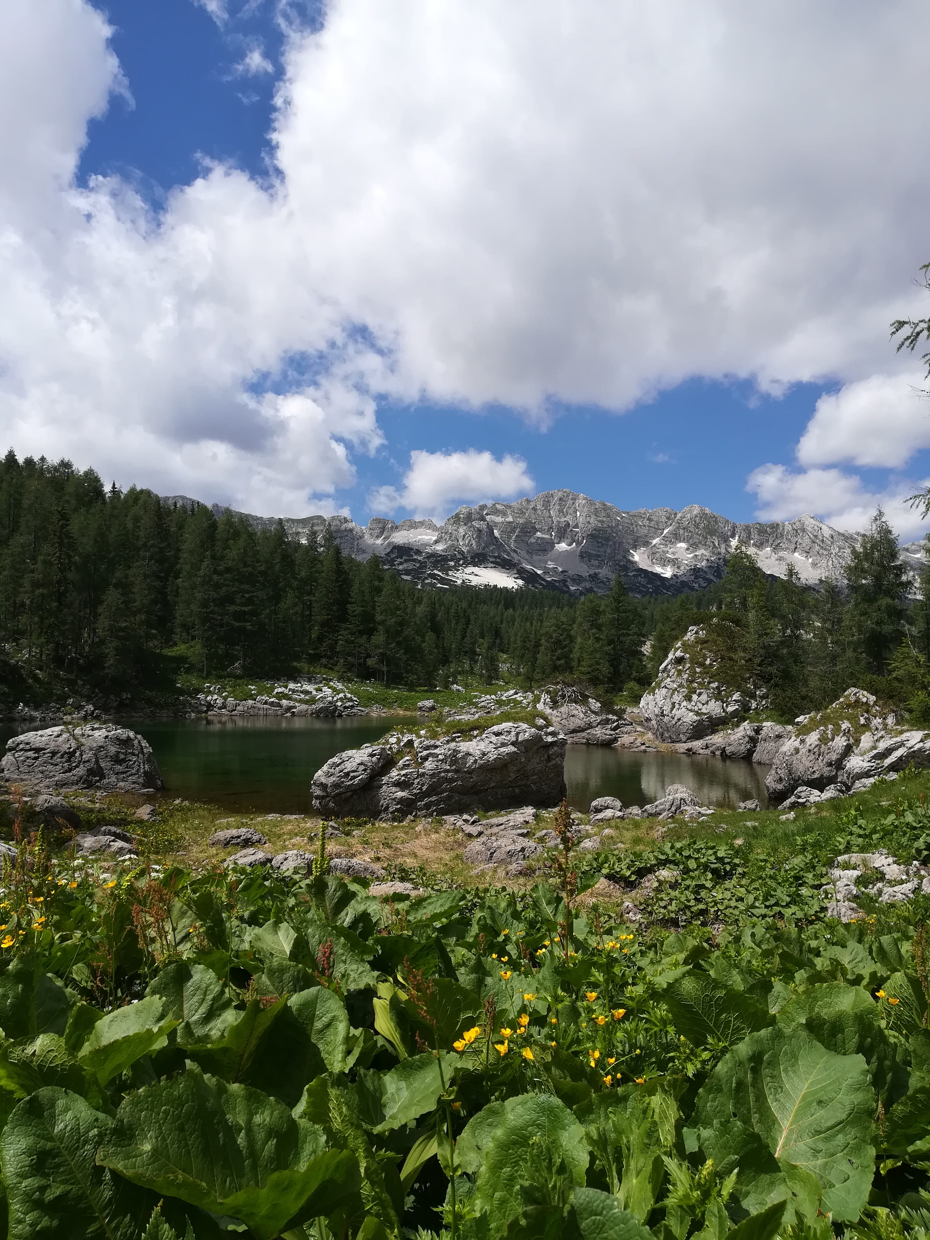 fir, day, landscape, outdoors, spruce, sky, blossom, water, hiking, conifer, no people, scenics - nature, trees, 4K, lake, non-urban scene, mountains, Phone HD Wallpaper