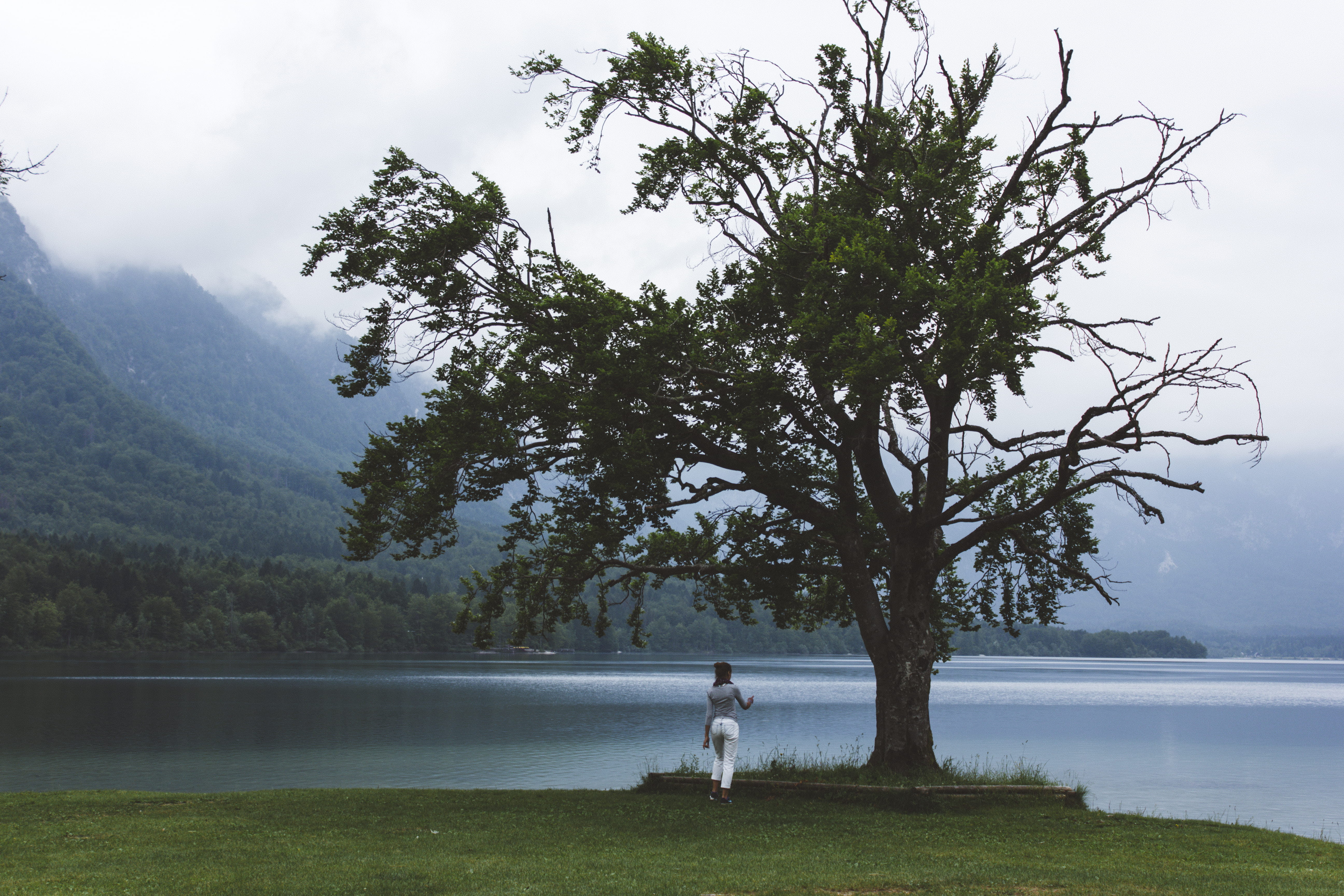 tranquility, scenics - nature, women, adventure, leisure activity, lake, plant, sky, green color, growth, mountain, lake bohinj, slovenia, alps, tranquil scene, HD Wallpaper