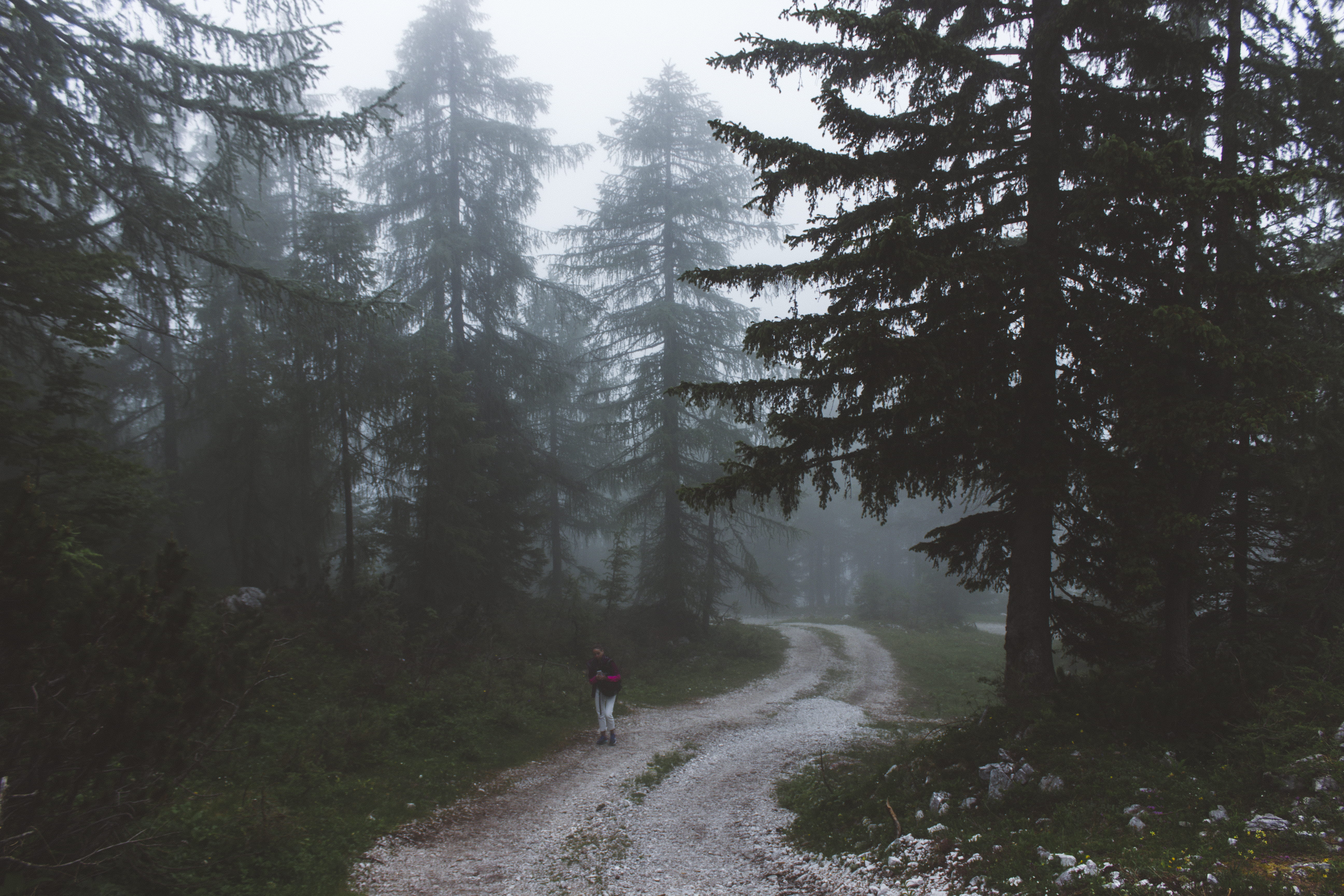 lifestyles, scenics - nature, 5K, outdoors, tranquil scene, real people, bohinjsko jezero, non-urban scene, nature, one person, road, beauty in nature, HD Wallpaper