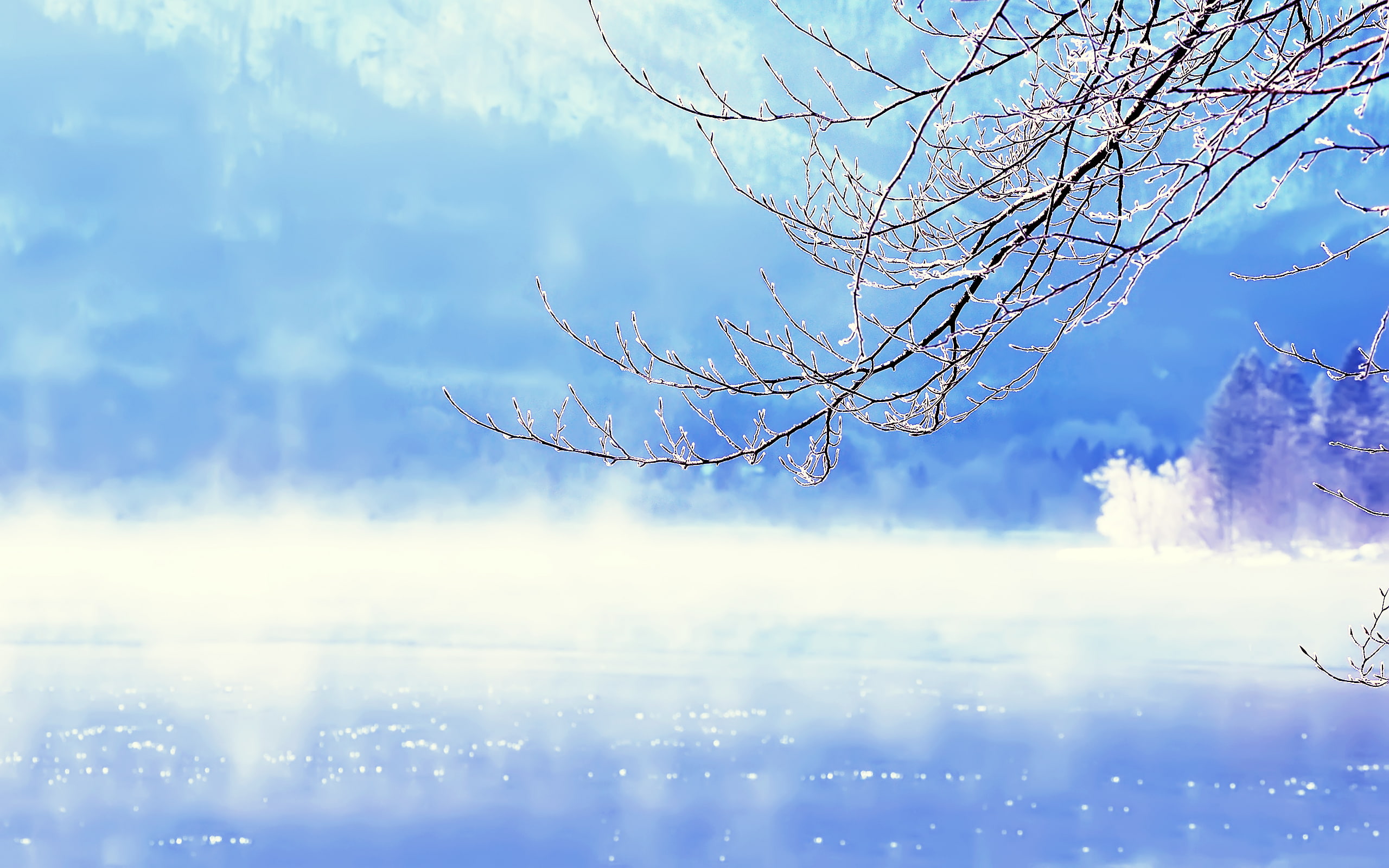 winter, Lake Bohinj, snow, tree, branches, lake, 2K, Slovenia, water, HD Wallpaper