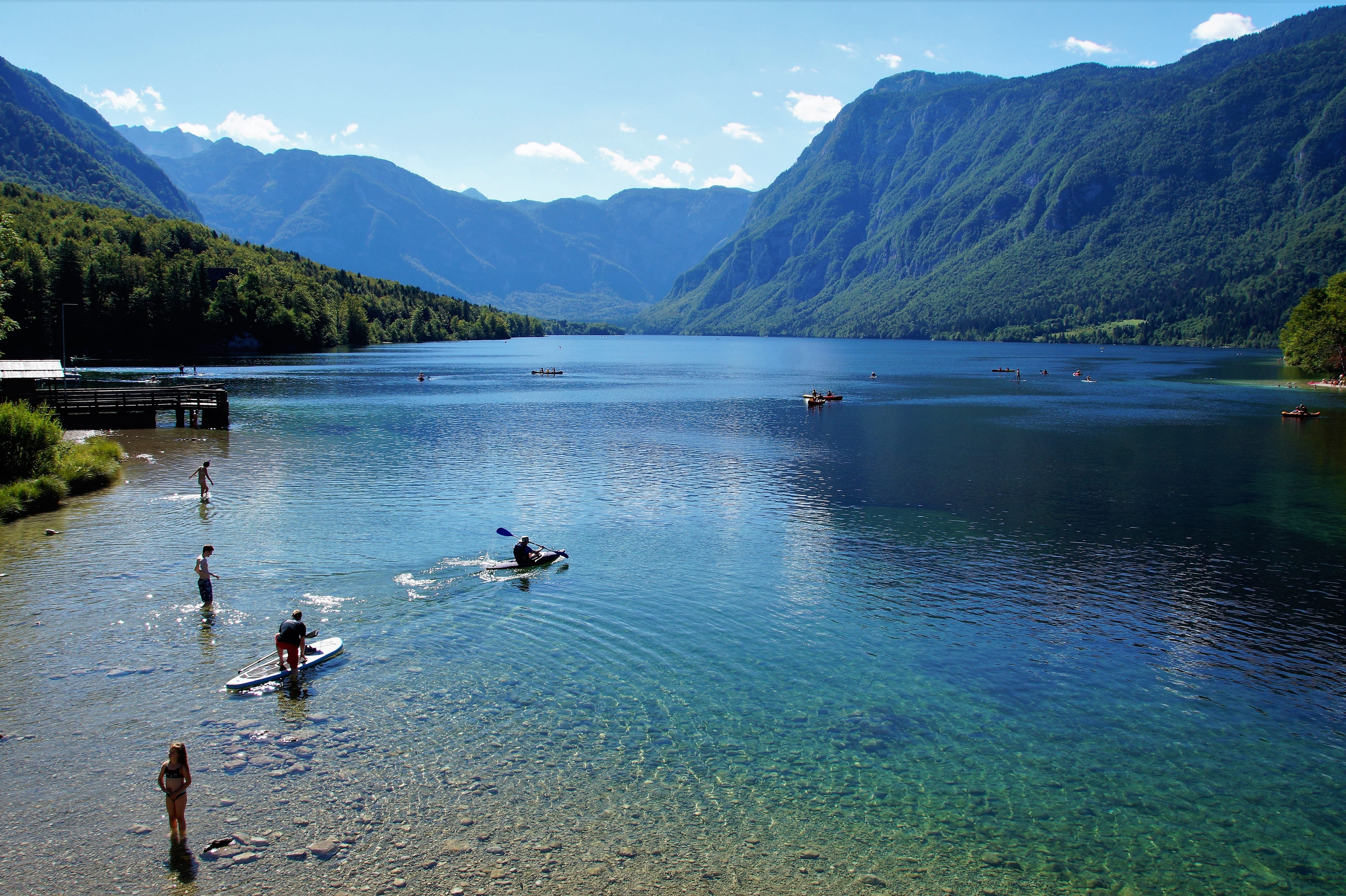 non-urban scene, scenics - nature, animals in the wild, julian alps, mountain lake, water sports, bathing, clear water, animal, slovenia, beauty in nature, HD Wallpaper