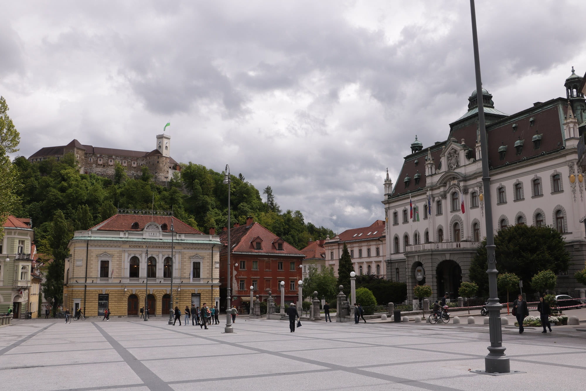plant, 1080P, Europe, medieval, building, sky, Slovenia, tree, residential district, architecture, historic, center, history, City, travel destinations, HD Wallpaper