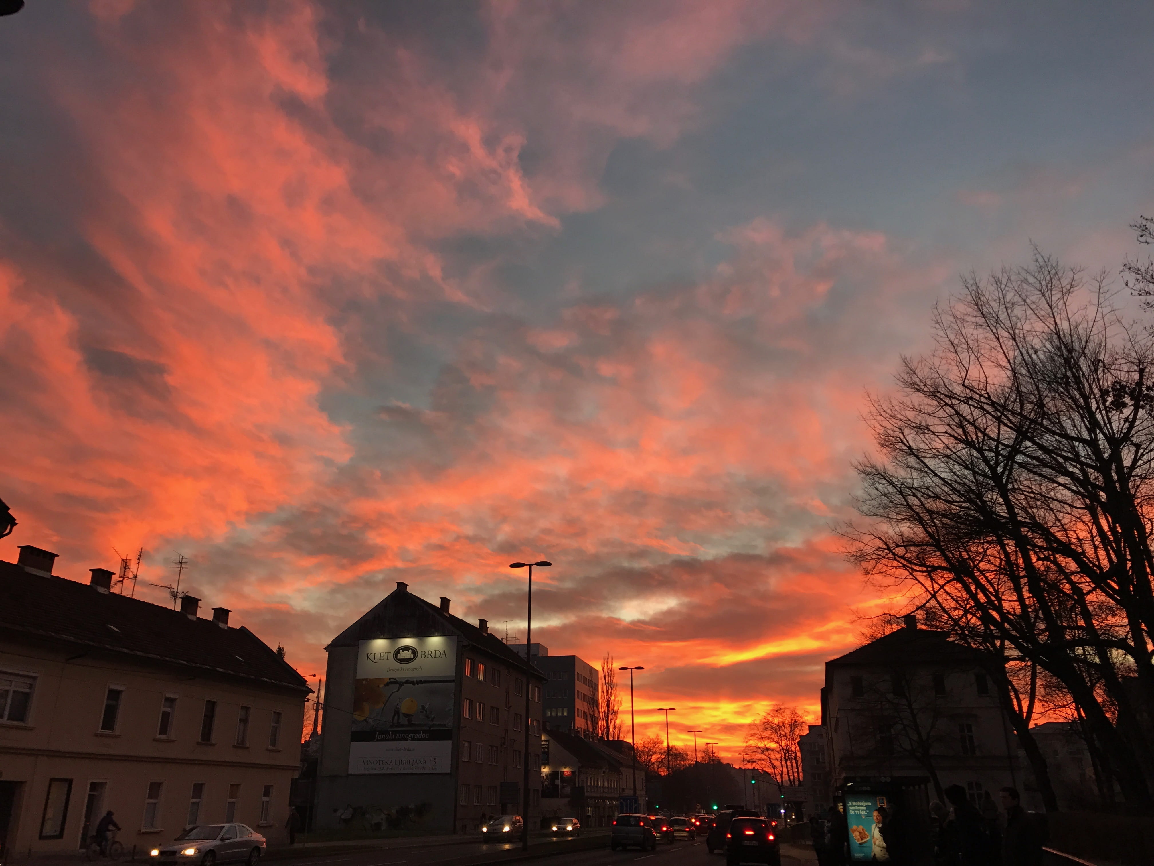 architecture, sunset, beauty in nature, tree, no people, cloud - sky, building, building exterior, low angle view, nature, bare tree, city, silhouette, HD Wallpaper