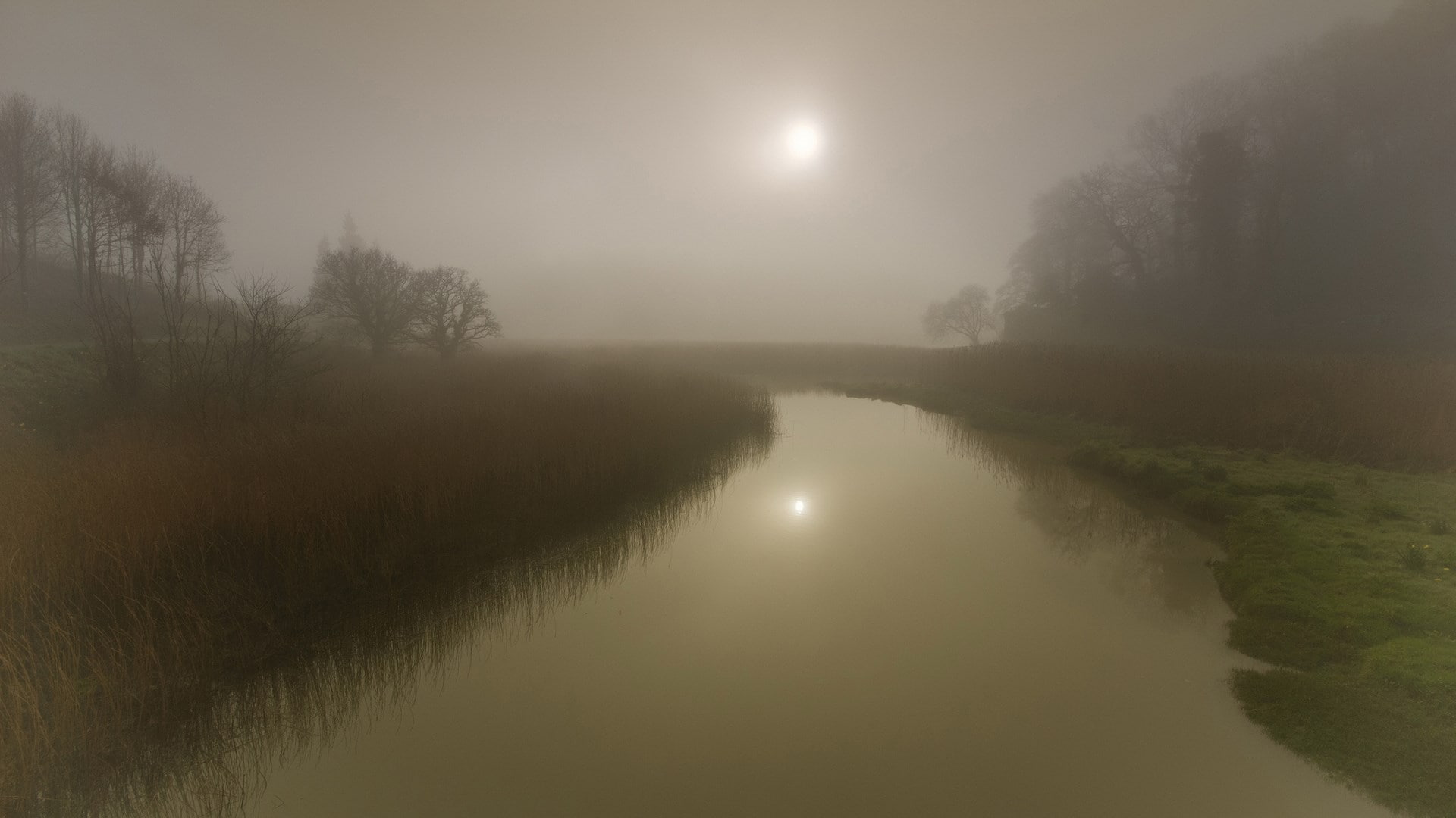 outdoors, nature, water, sky, wonderfull nature hd  1920x1080, scenics - nature, plant, lake, 1080P, non-urban scene, waterfront, fog, tree, tranquility, HD Wallpaper