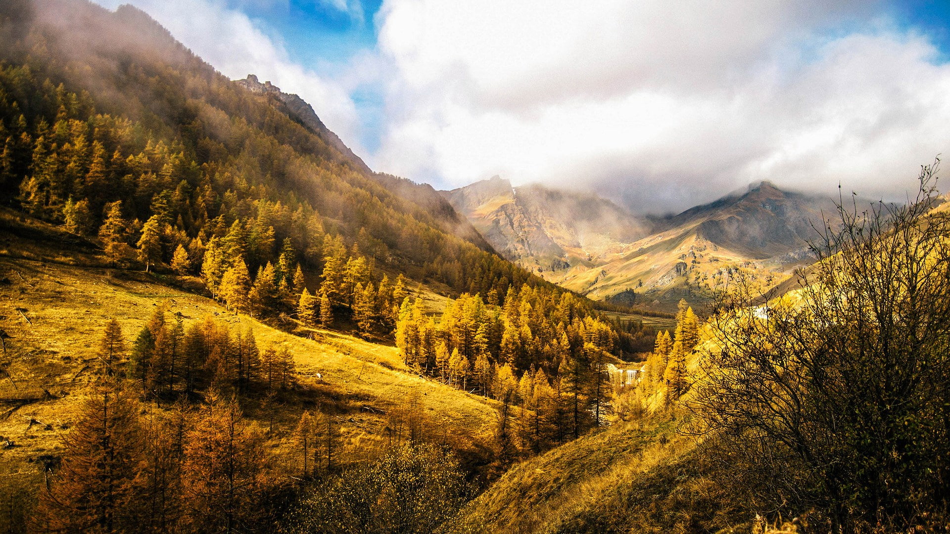 non-urban scene, travel destinations, 1080P, pine woodland, land, amazing nature photography  1920x1080, no people, mountain peak, mountain, coniferous tree, HD Wallpaper