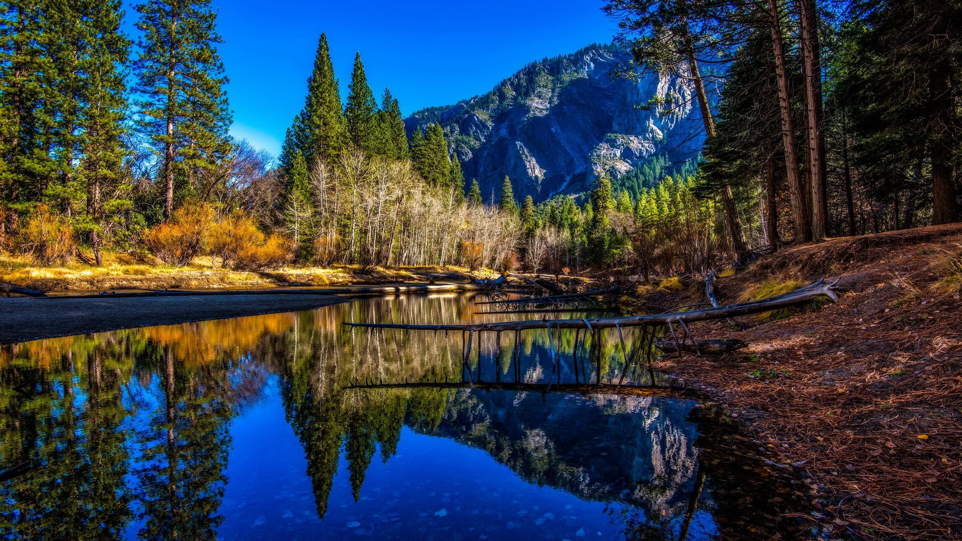 water, nature, outdoors, reflection, day, best amazing nature  1920x1080, tranquility, forest, blue, woodland, growth, beauty in nature, plant, lake, tree, HD Wallpaper