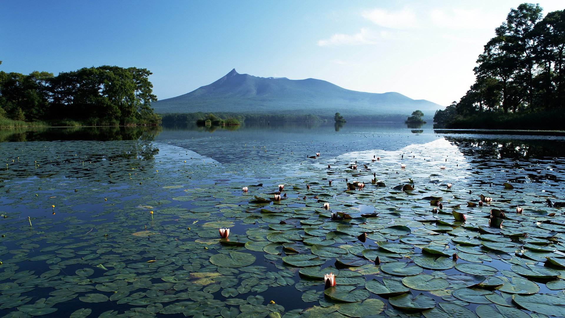 best amazing nature  1920x1080, 1080P, HD Wallpaper