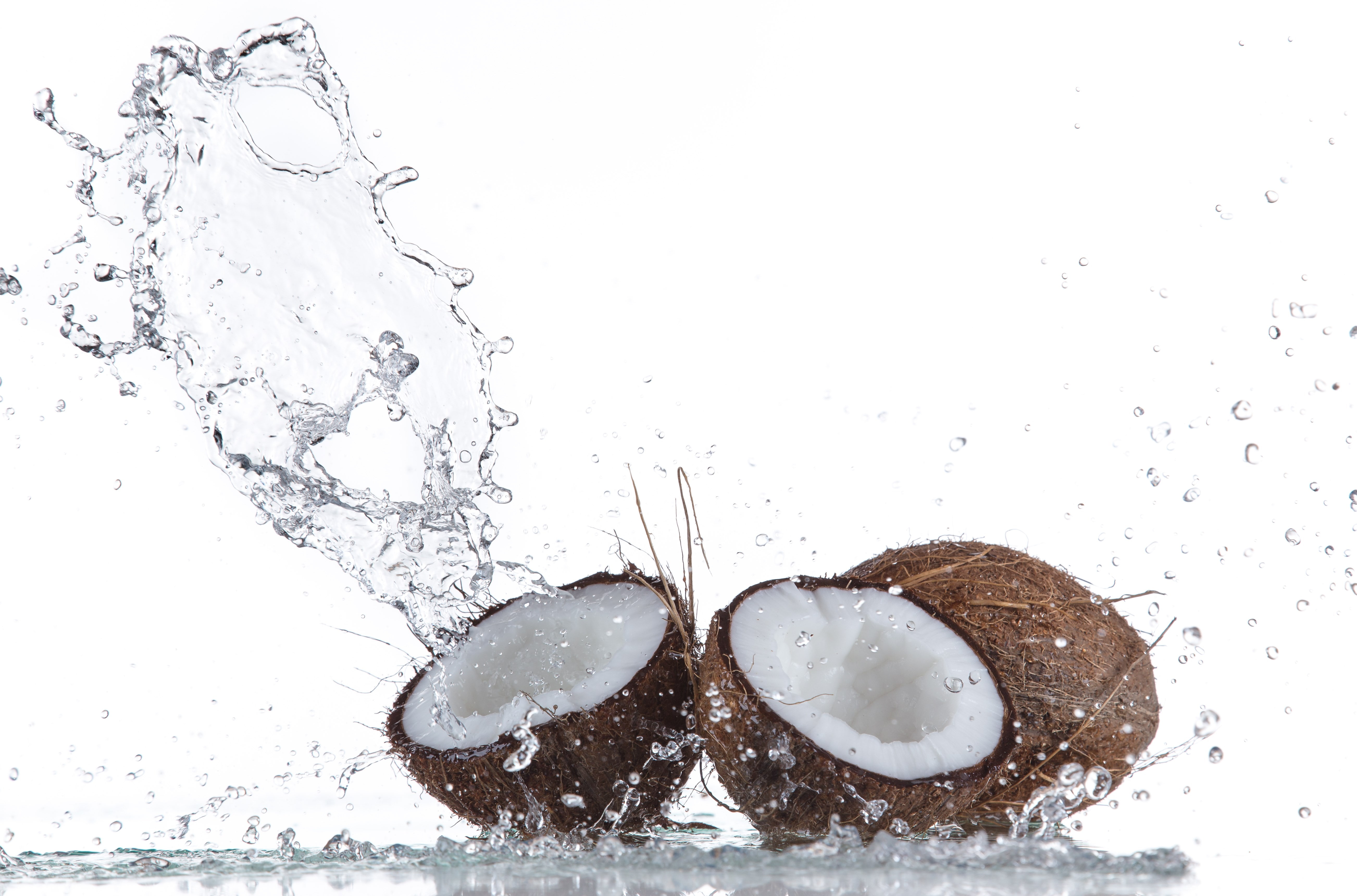 food, splashing, food and drink, indoors, high angle view, close-up, white background, motion, wet, high-speed photography, coconut, drop, water, studio shot, HD Wallpaper