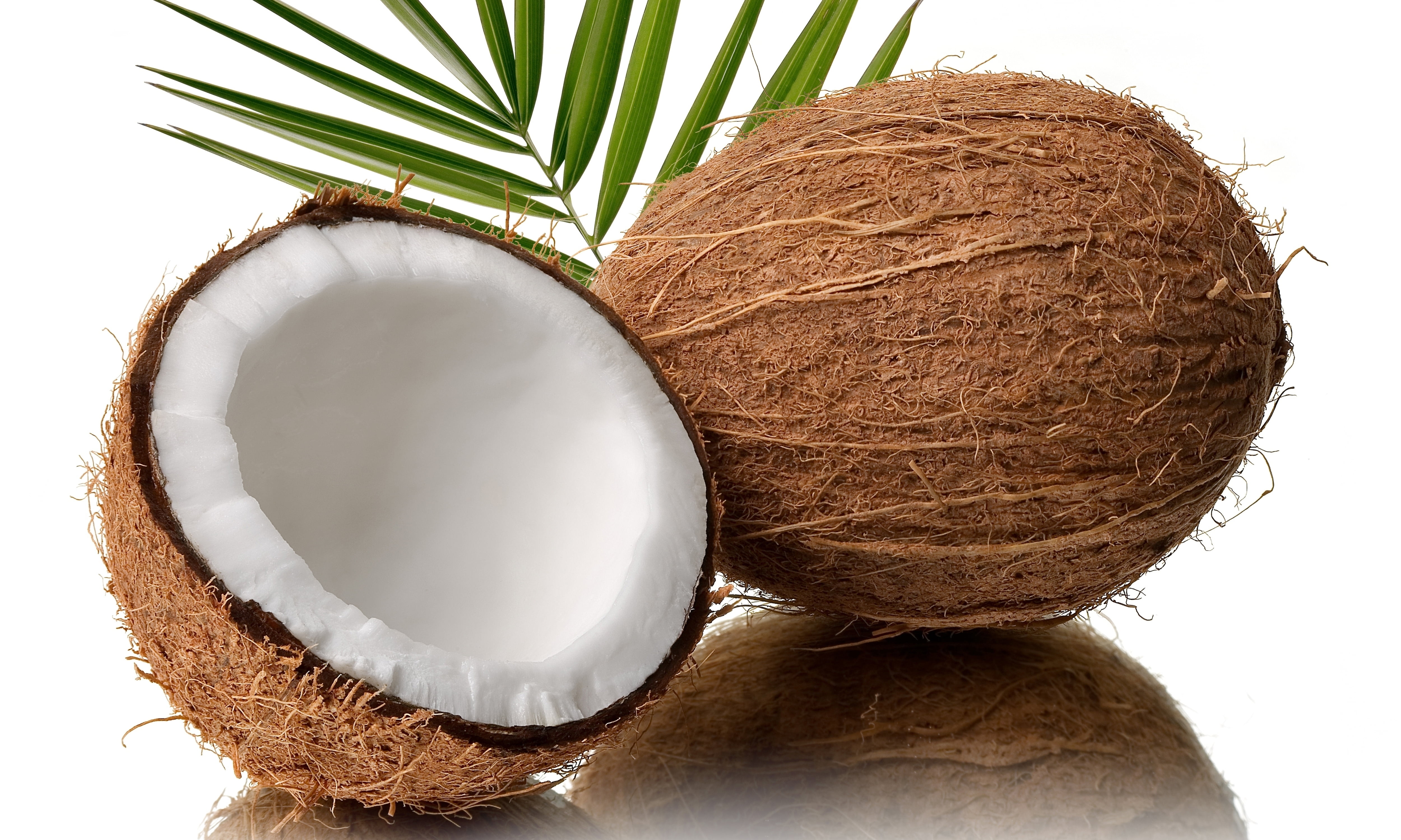 backgrounds, white, close-up, brown, tropical Fruit, dieting, indoors, coconut Palm Tree, tropical Climate, organic, coco, still life, half, no People, HD Wallpaper