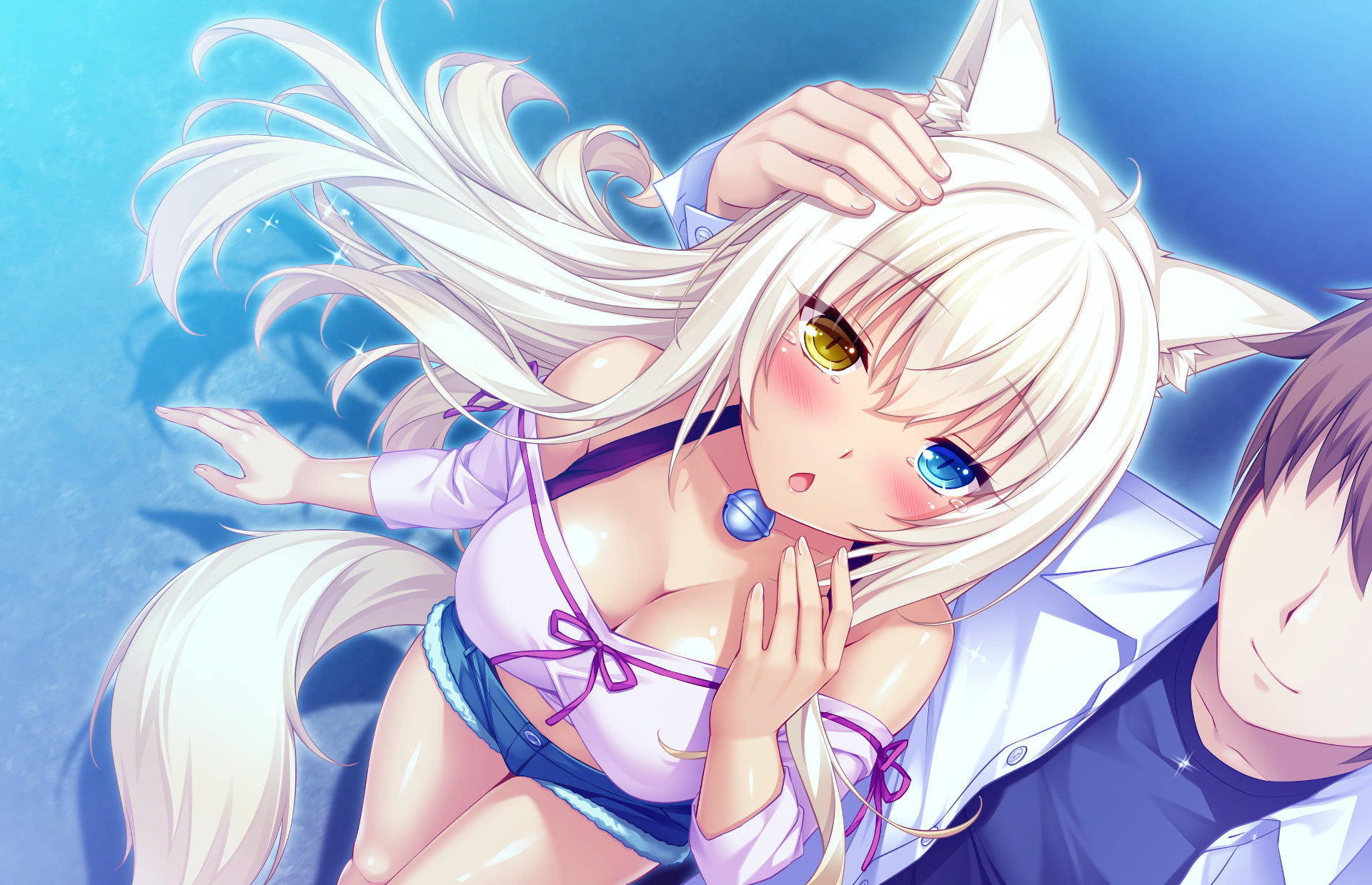 Blonde, Blush, Heterochromia, Nekopara, Shorts, Boy, Anime, Girl, 1080P, Coconut (Nekopara), Neko, HD Wallpaper