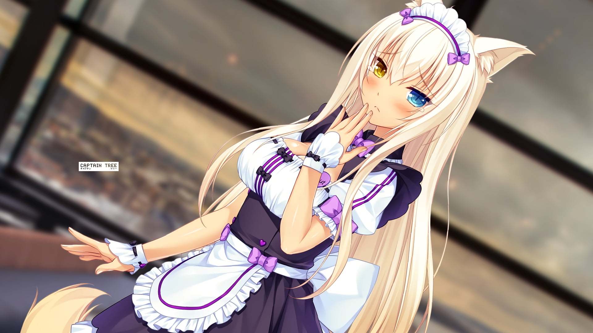 Nekopara, Uniform, Anime, Heterochromia, 1080P, Coconut (Nekopara), Blue Eyes, Yellow Eyes, HD Wallpaper