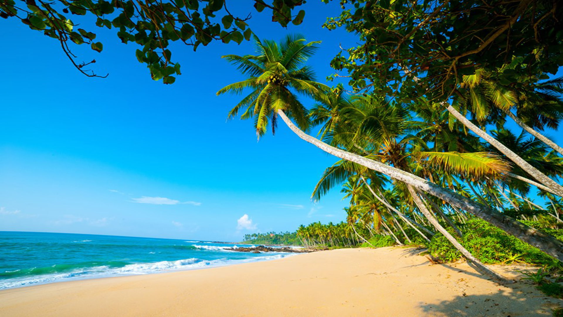 photo, 1080P, lanka, blue, arugambay, sandy, trees, sky, exoctic, beaches, palm, waters, hd, sri, HD Wallpaper