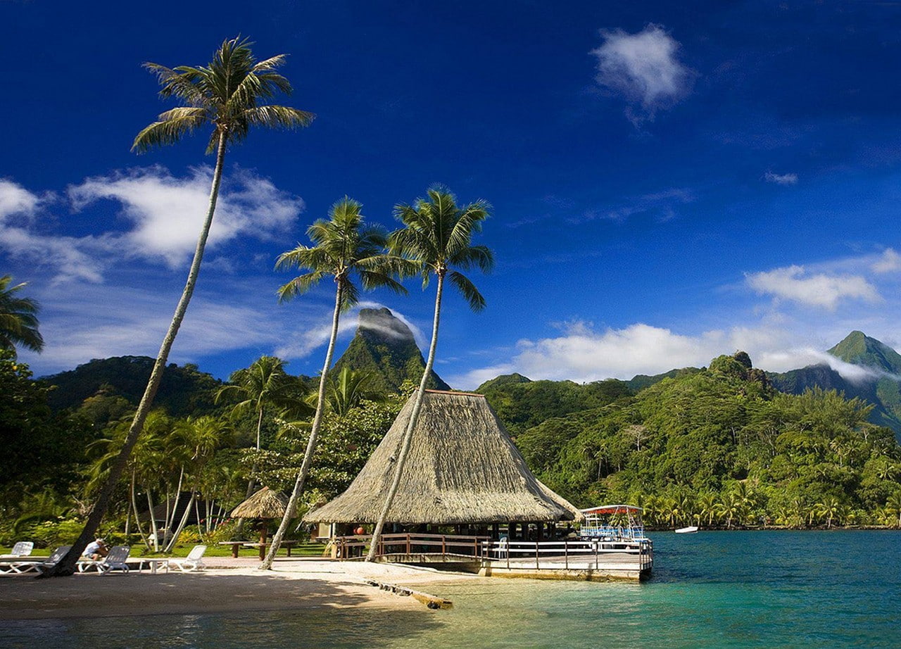 beach, palm trees, scenics - nature, land, tranquility, water, French Polynesia, outdoors, mountains, resort, cloud - sky, tropical tree, island, 720P, HD Wallpaper