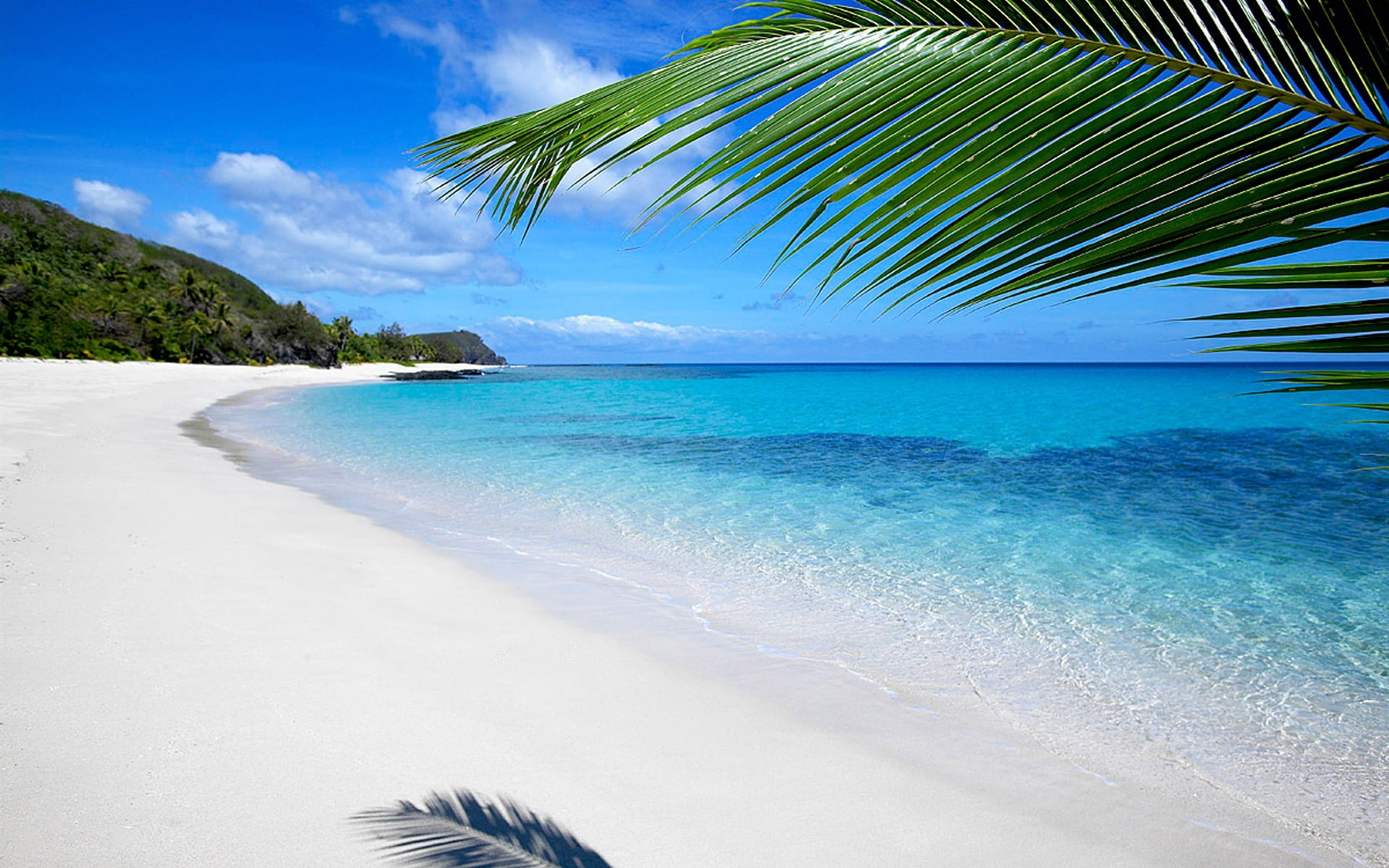 tree, landscape, fiji, scenics - nature, palm leaf, sky, water, lagoon, coconut palm tree, no people, tropical tree, hd, plant, turquoise colored, idyllic, HD Wallpaper