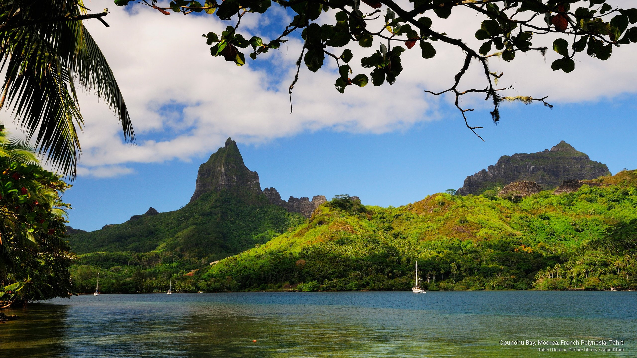 bay, french, polynesia, Islands, moorea, opunohu, 2K, tahiti, HD Wallpaper