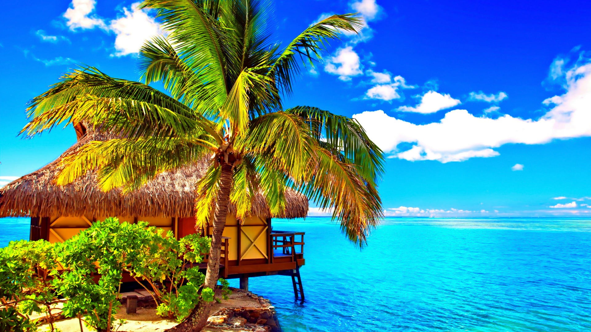 1080P, blue, caribbean, cloud - sky, leisure, scenics - nature, plant, swimming pool, sky, beach, water, island, bungalow, palm tree, resort, sea, tranquility, HD Wallpaper