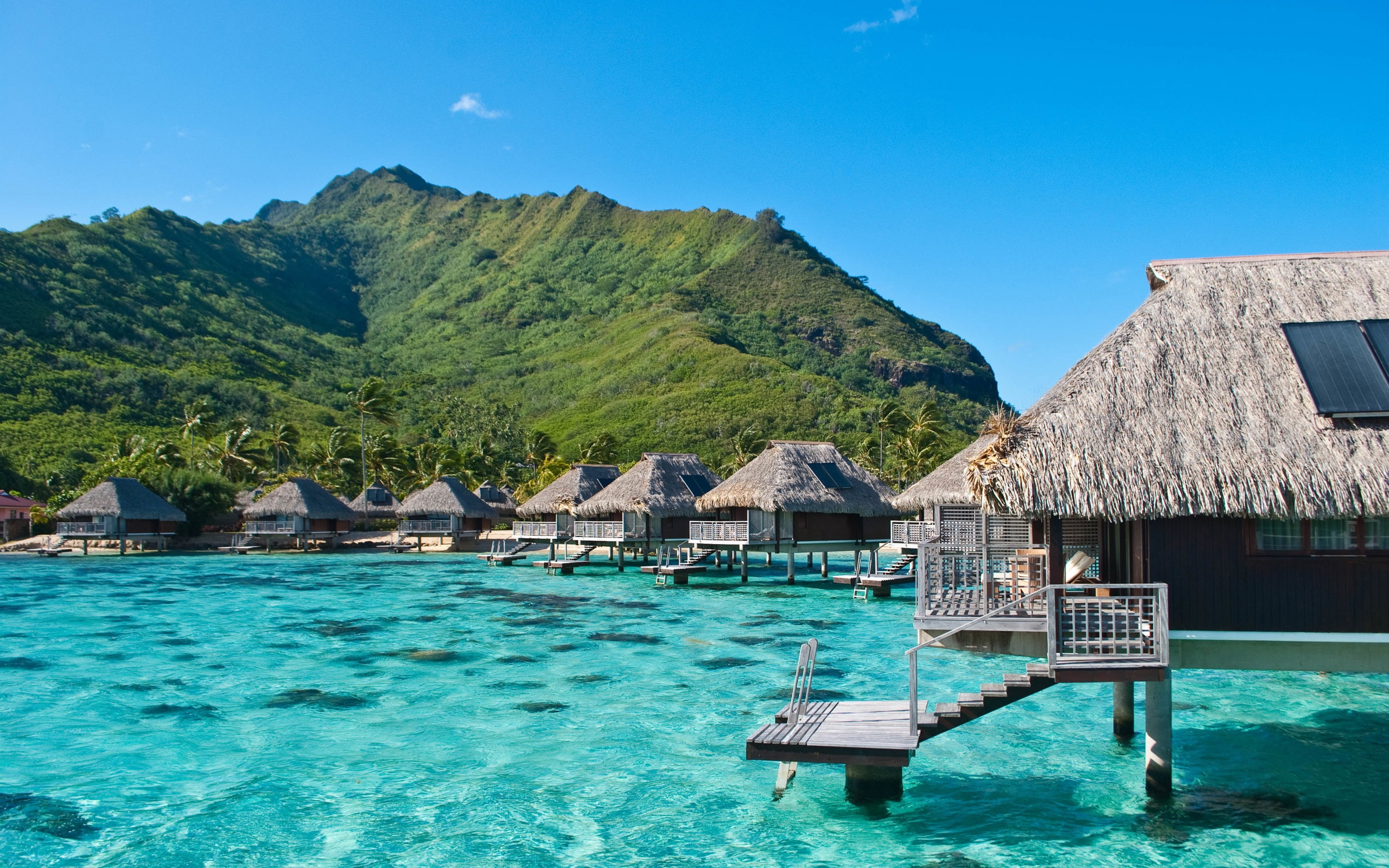 2K, Sea, Moorea, Polynesia, Mountain, Houses, French, Wooden, Ocean, HD Wallpaper
