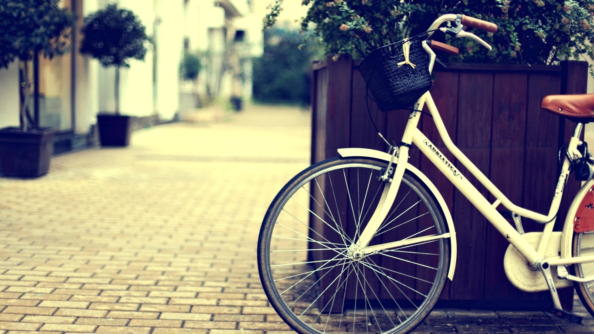 bicycle, 1080P, HD Wallpaper