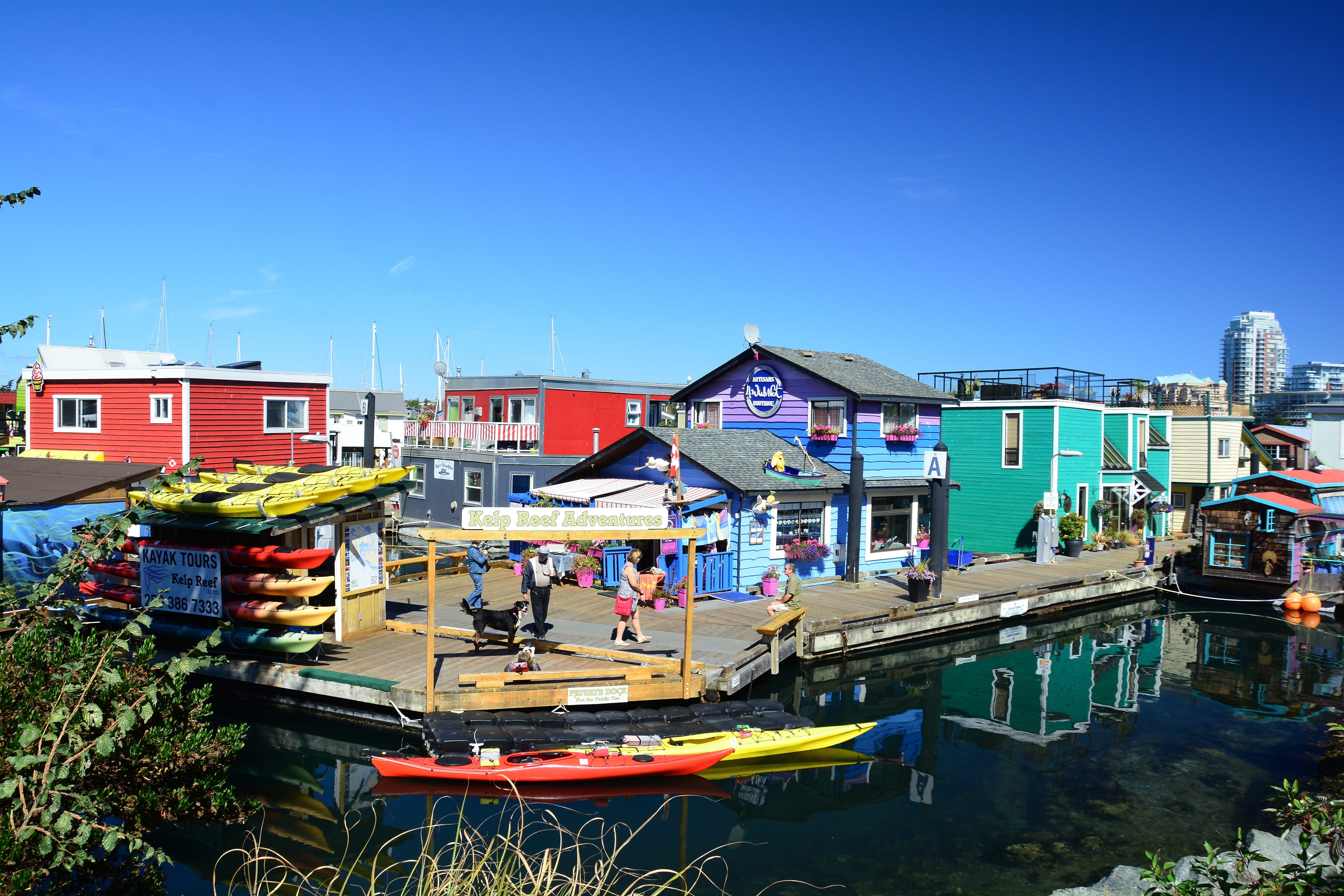 harbor, docks, house, British, columbia, unique, nature, mode of transportation, built structure, homes, pacific, outdoors, blue, moored, canadian, ocean, HD Wallpaper