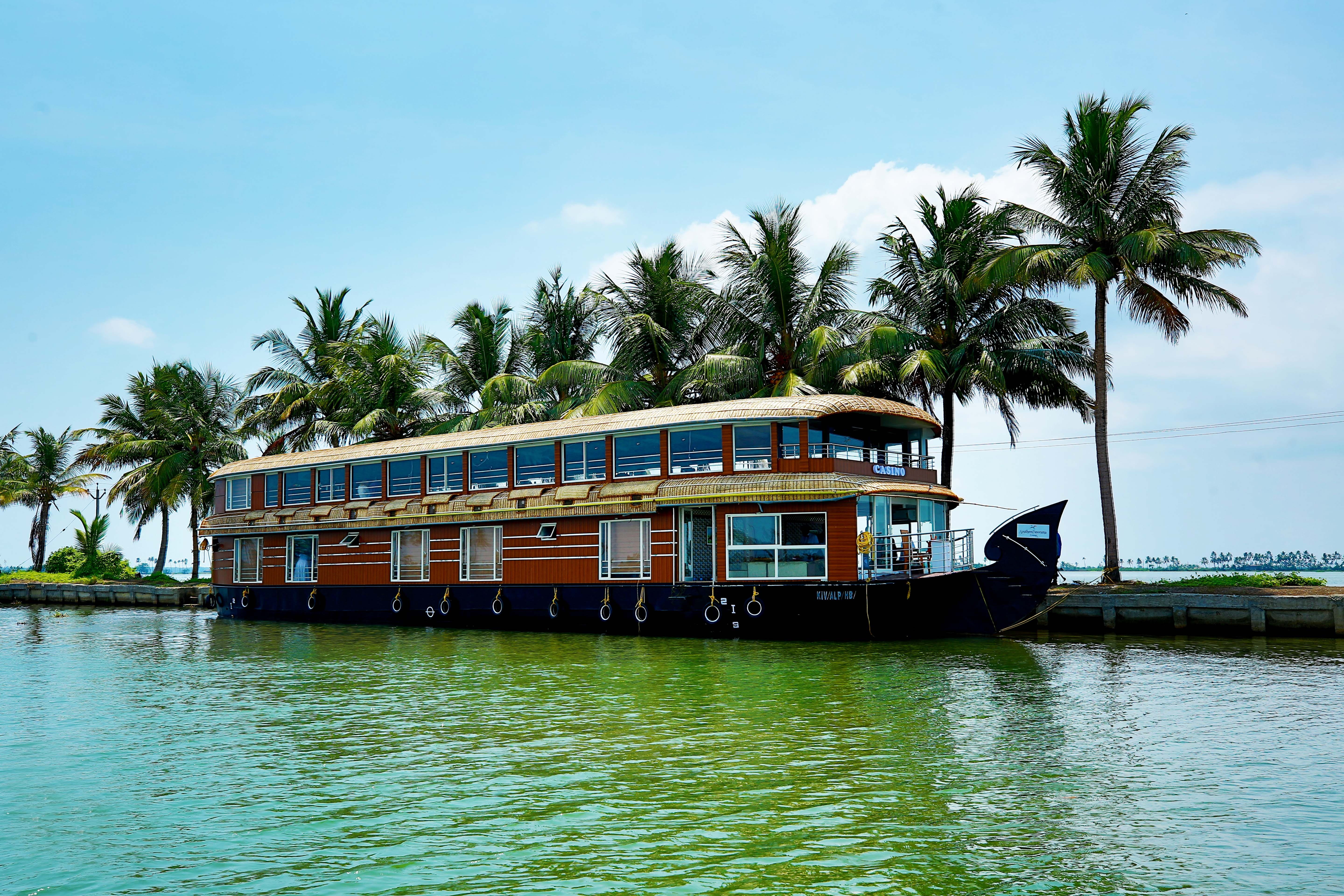 transportation, coconut palm tree, panorama, nature, waterfront, plant, river, beauty in nature, water, tree, nautical vessel, tropical climate, day, 5K, HD Wallpaper