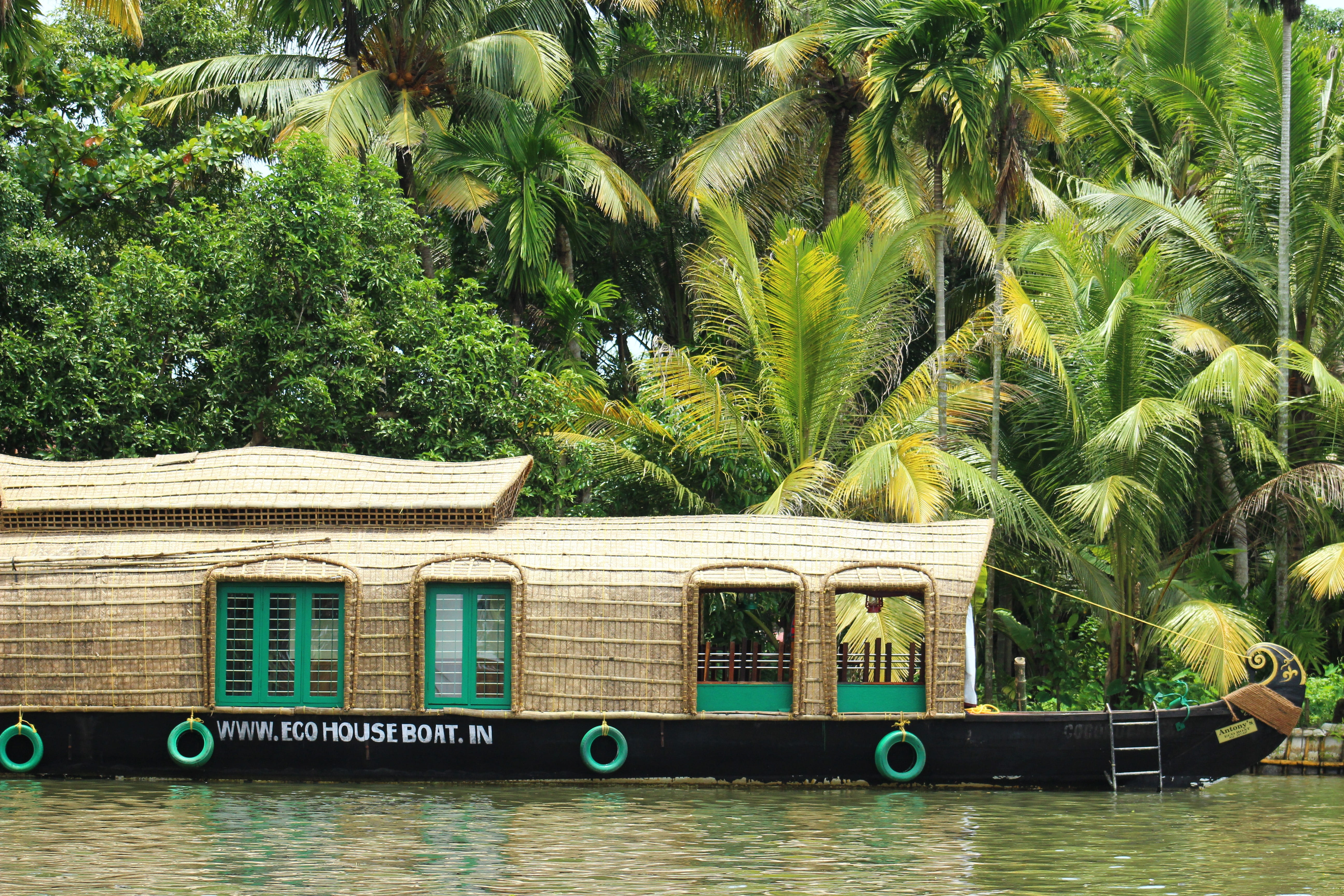 tree, no people, boats, palm tree, text, waterfront, sign, plant, kerala, western script, day, green color, tropical climate, nature, houseboats, water, HD Wallpaper